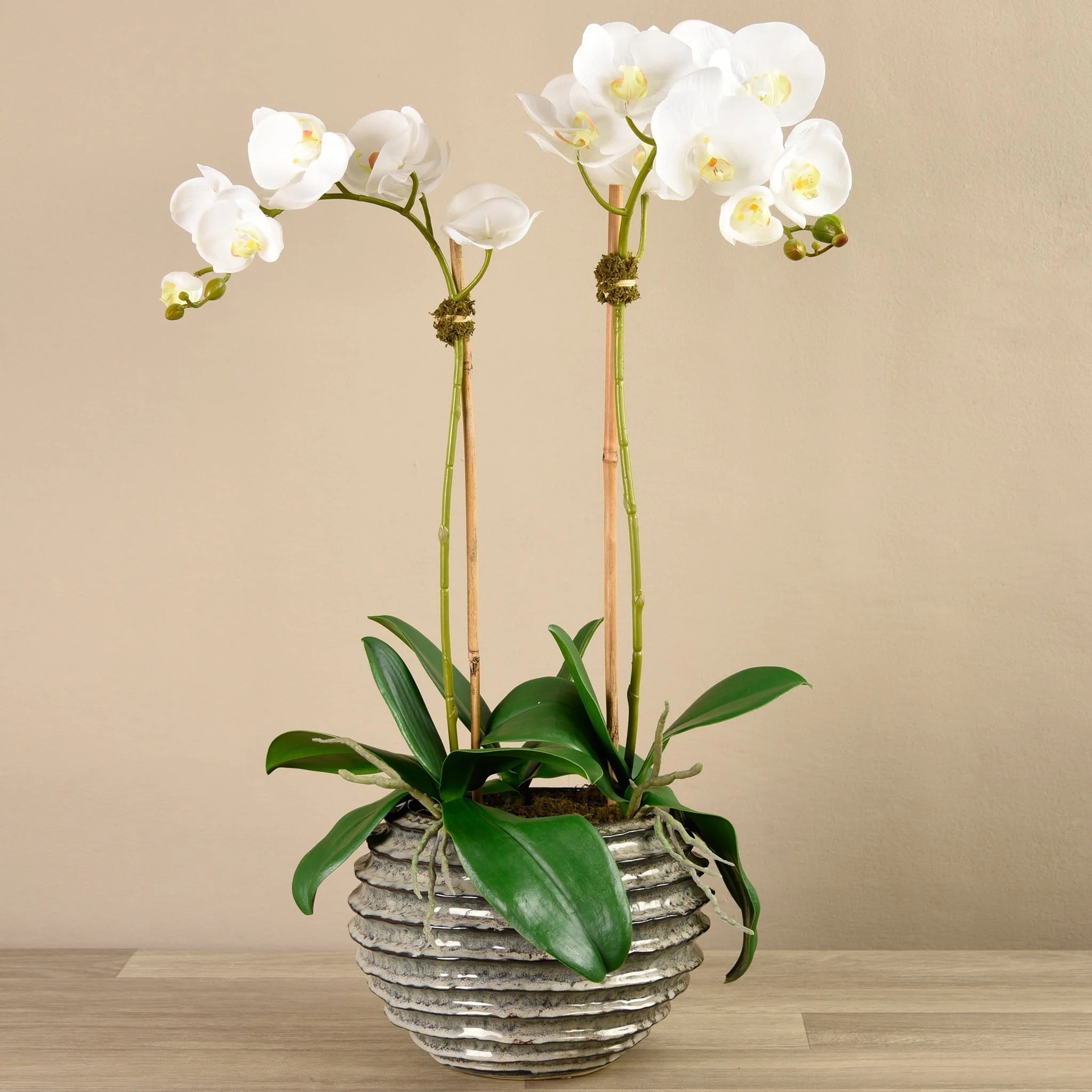 Orchid Arrangement in Ceramic Vase - Image 5