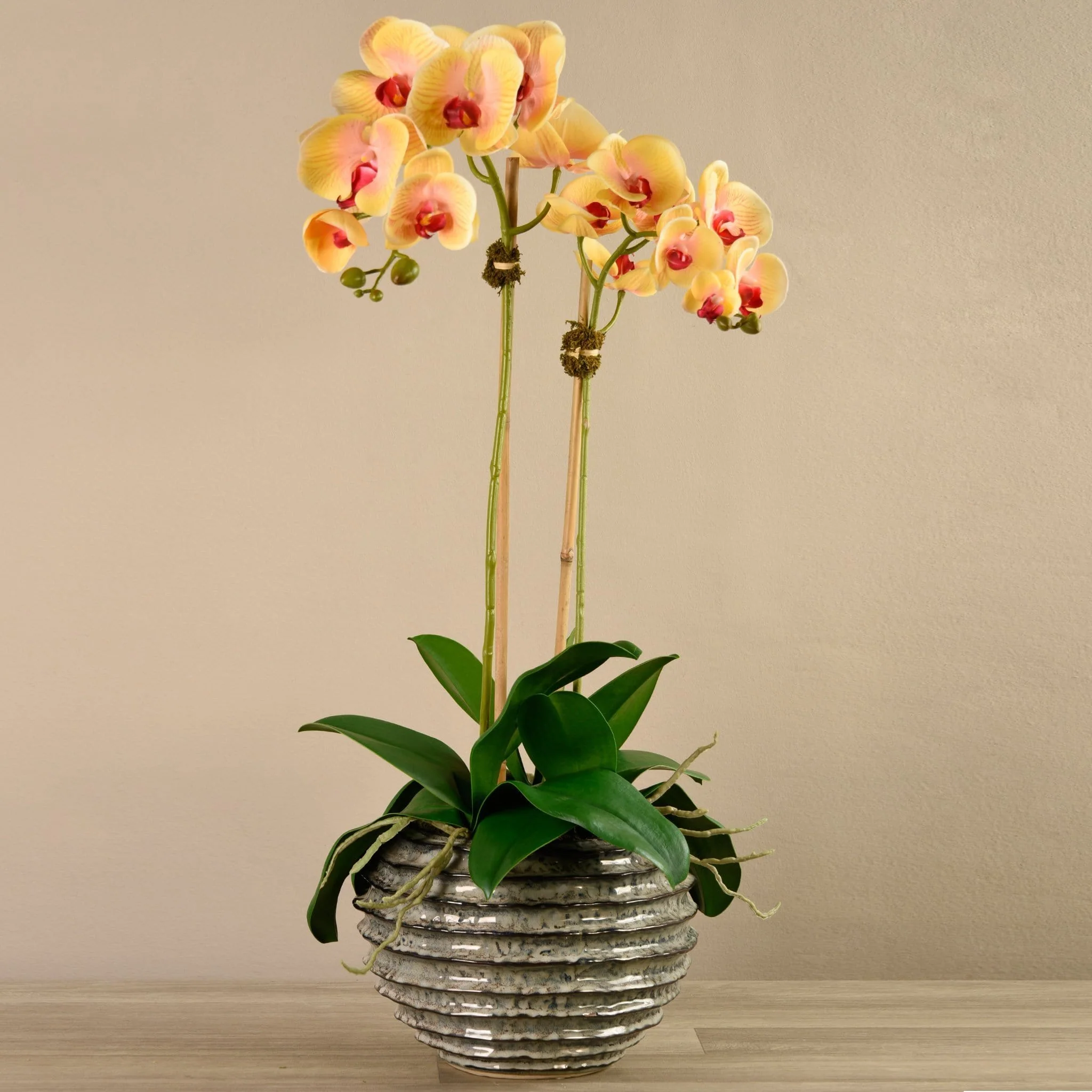 Orchid Arrangement in Ceramic Vase - Image 6