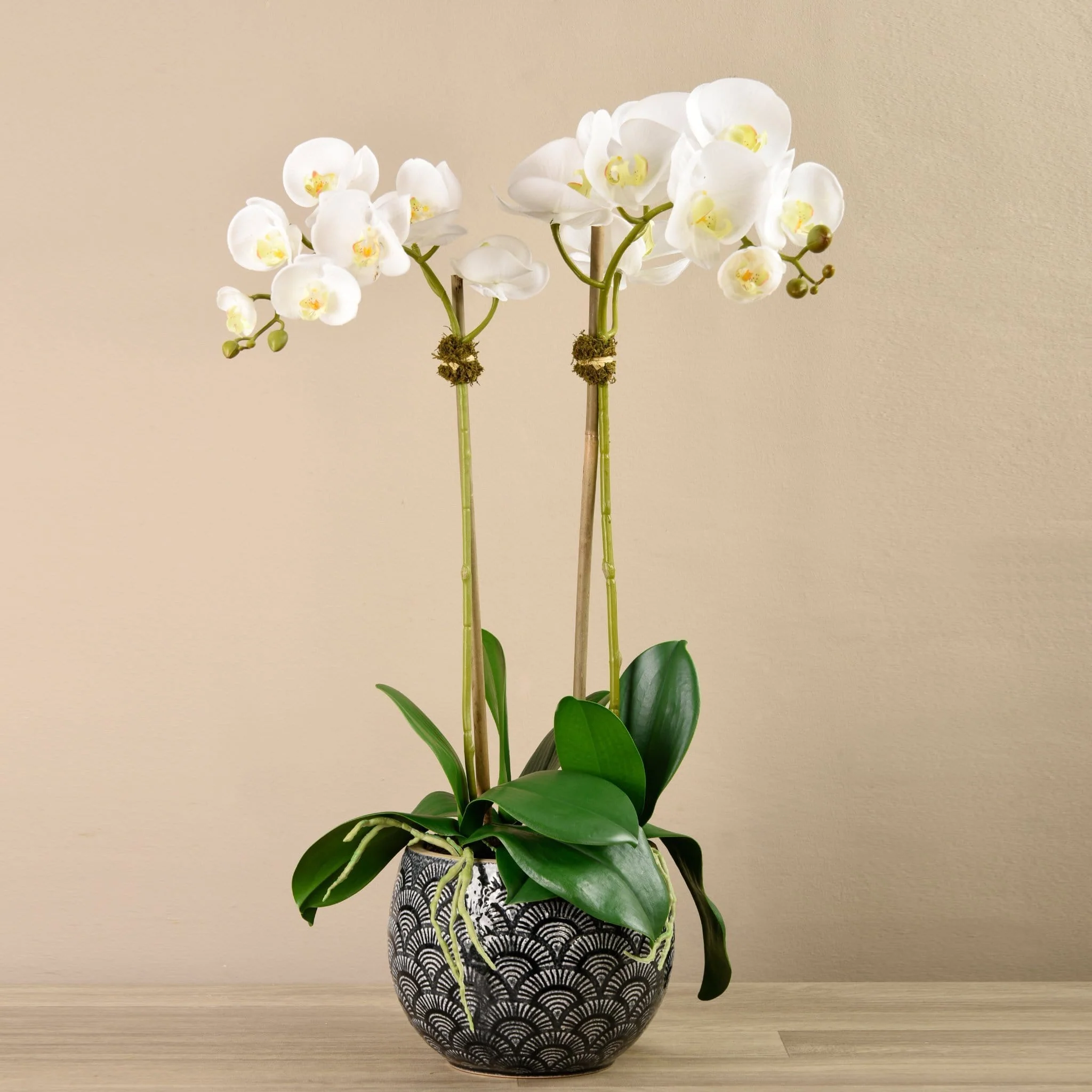 Orchid Arrangement in Ceramic Vase - Image 2