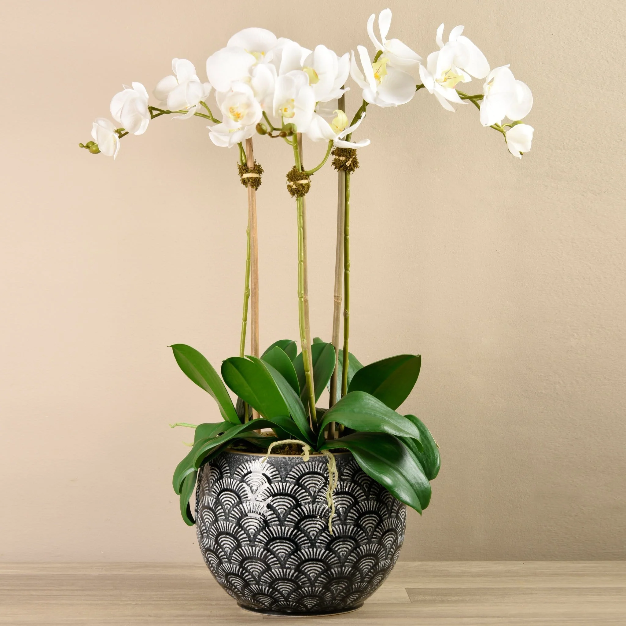 Orchid Arrangement in Ceramic Vase - Image 3