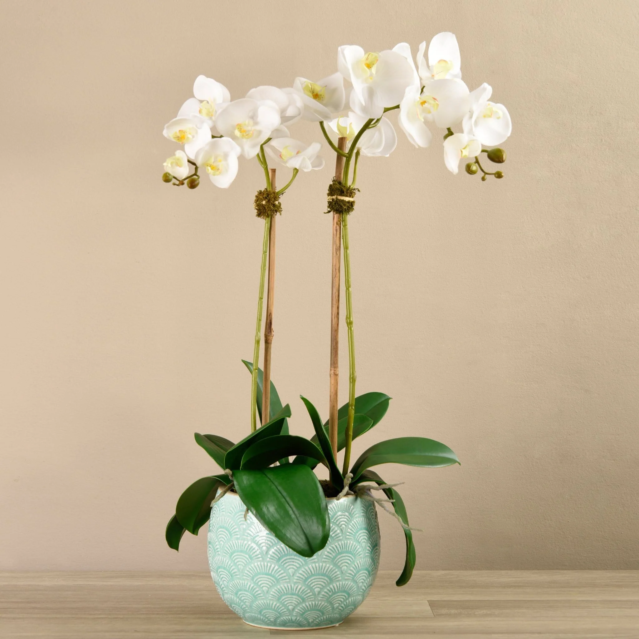 Orchid Arrangement in Ceramic Vase - Image 2