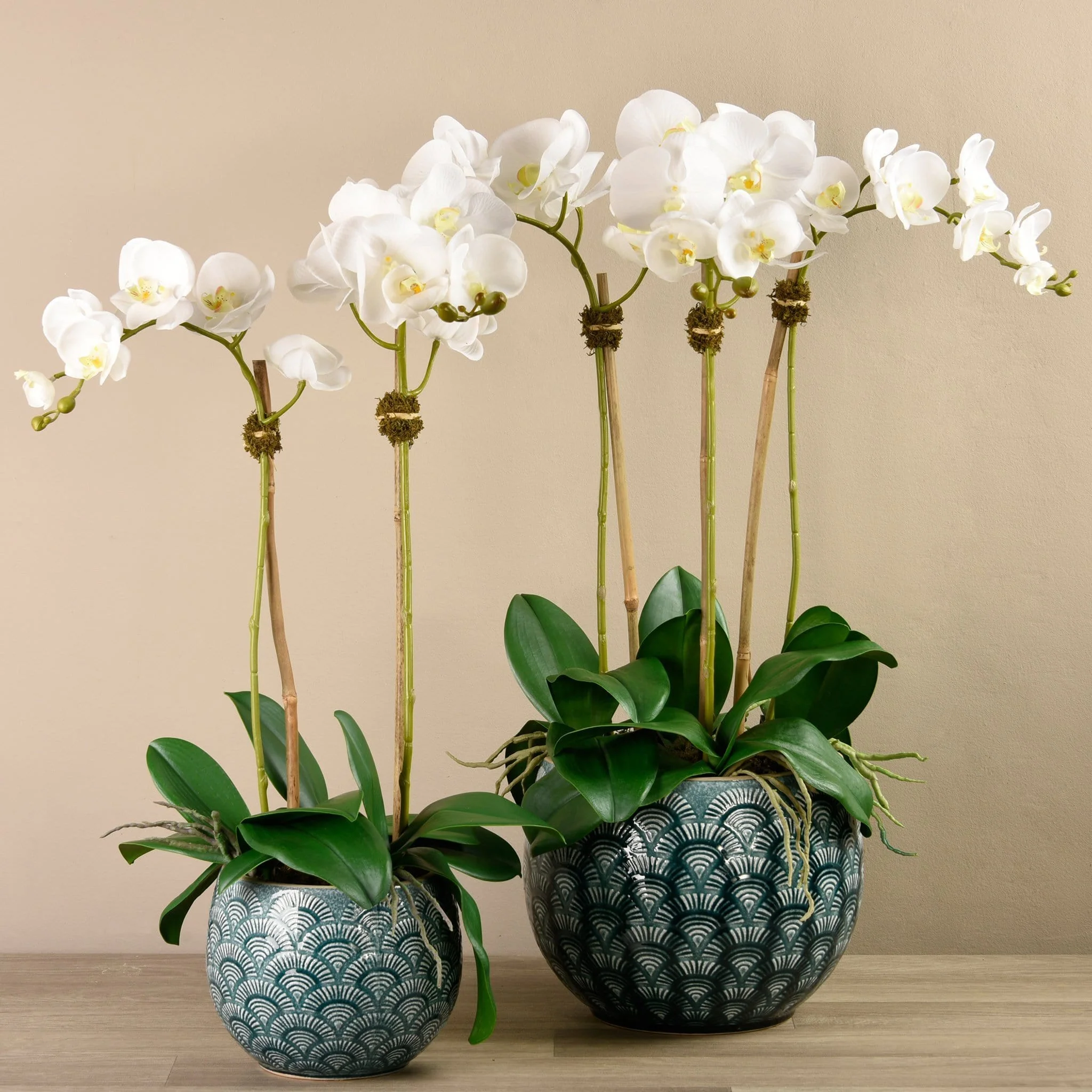 Orchid Arrangement in Ceramic Vase