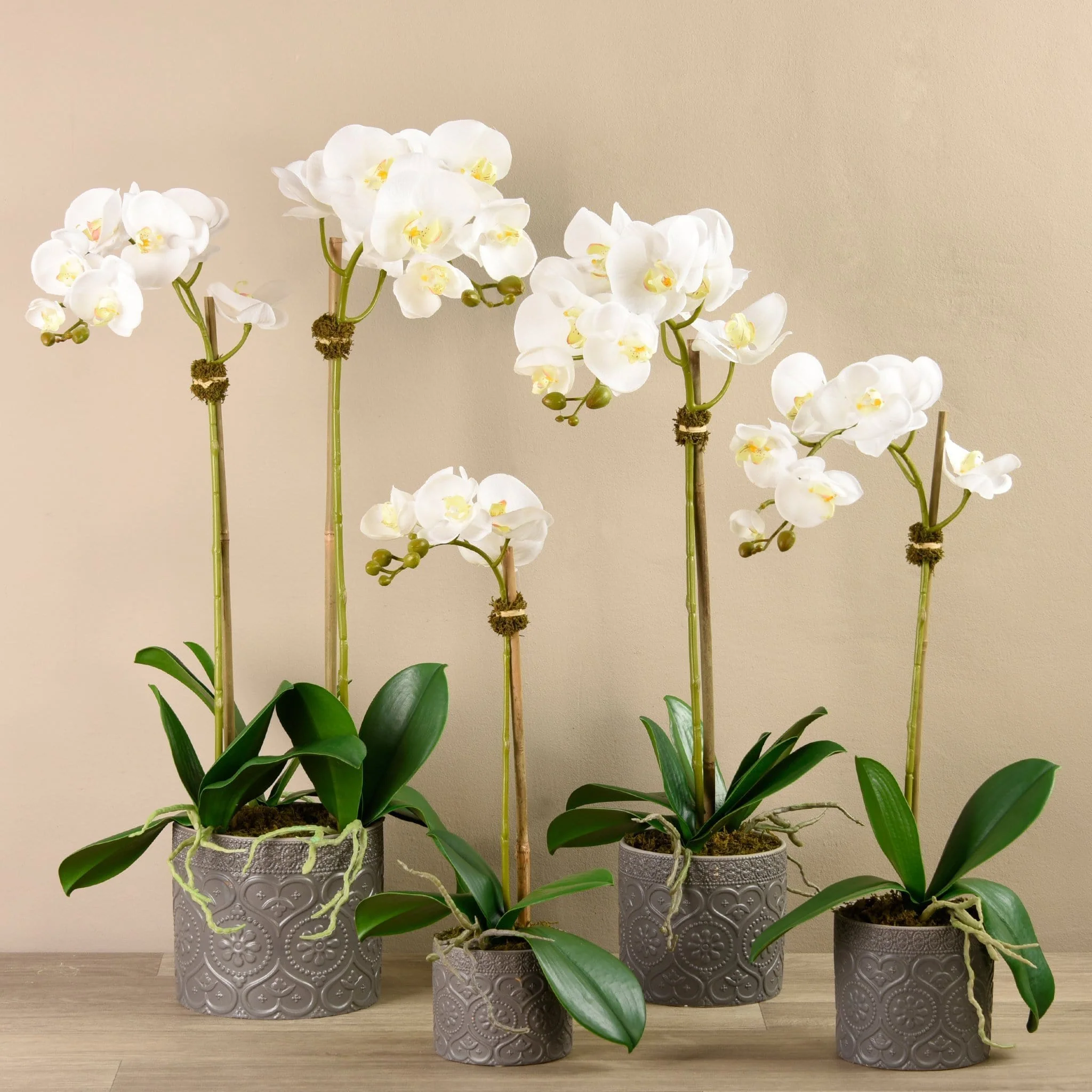 Orchid Arrangement in Ceramic Vase