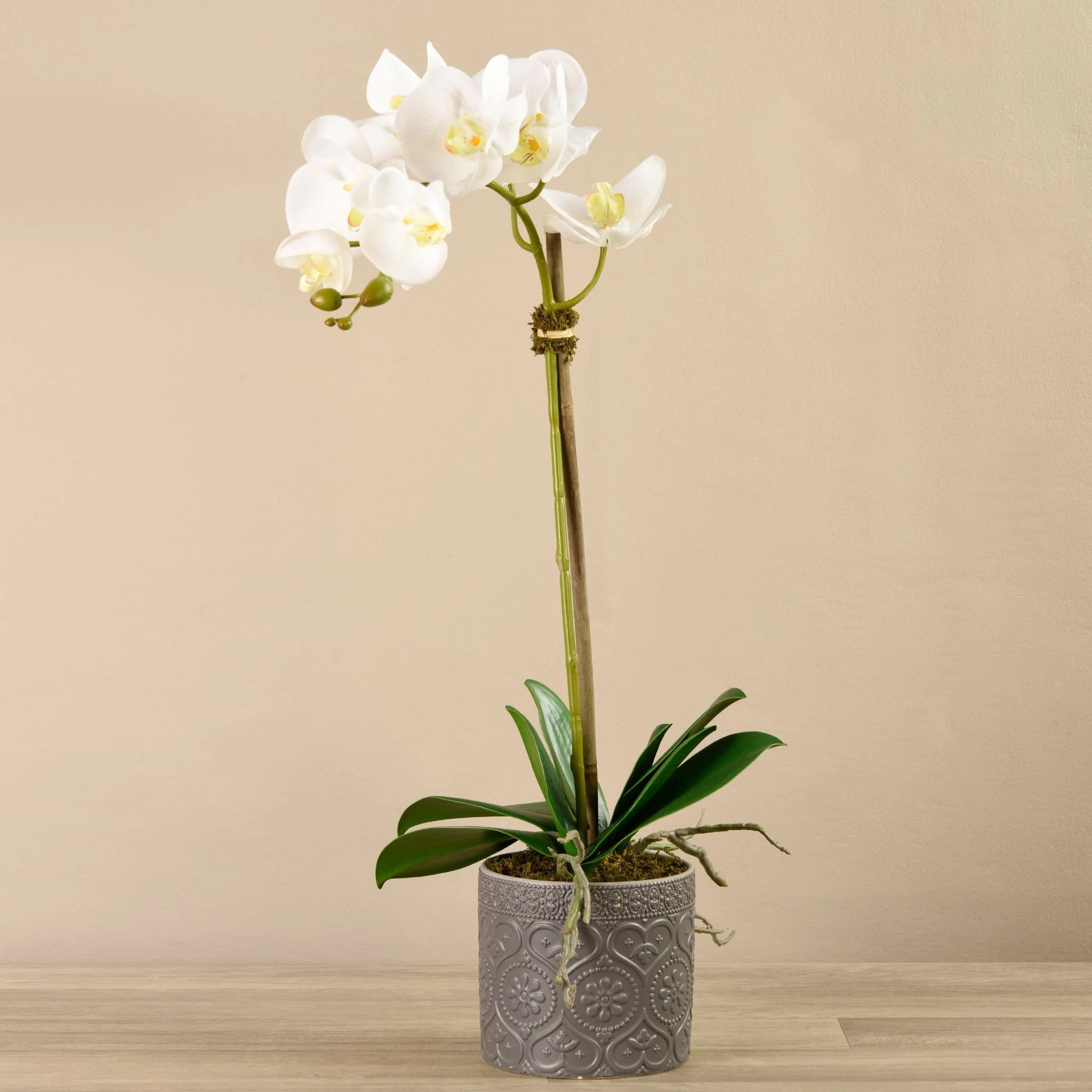 Orchid Arrangement in Ceramic Vase - Image 4