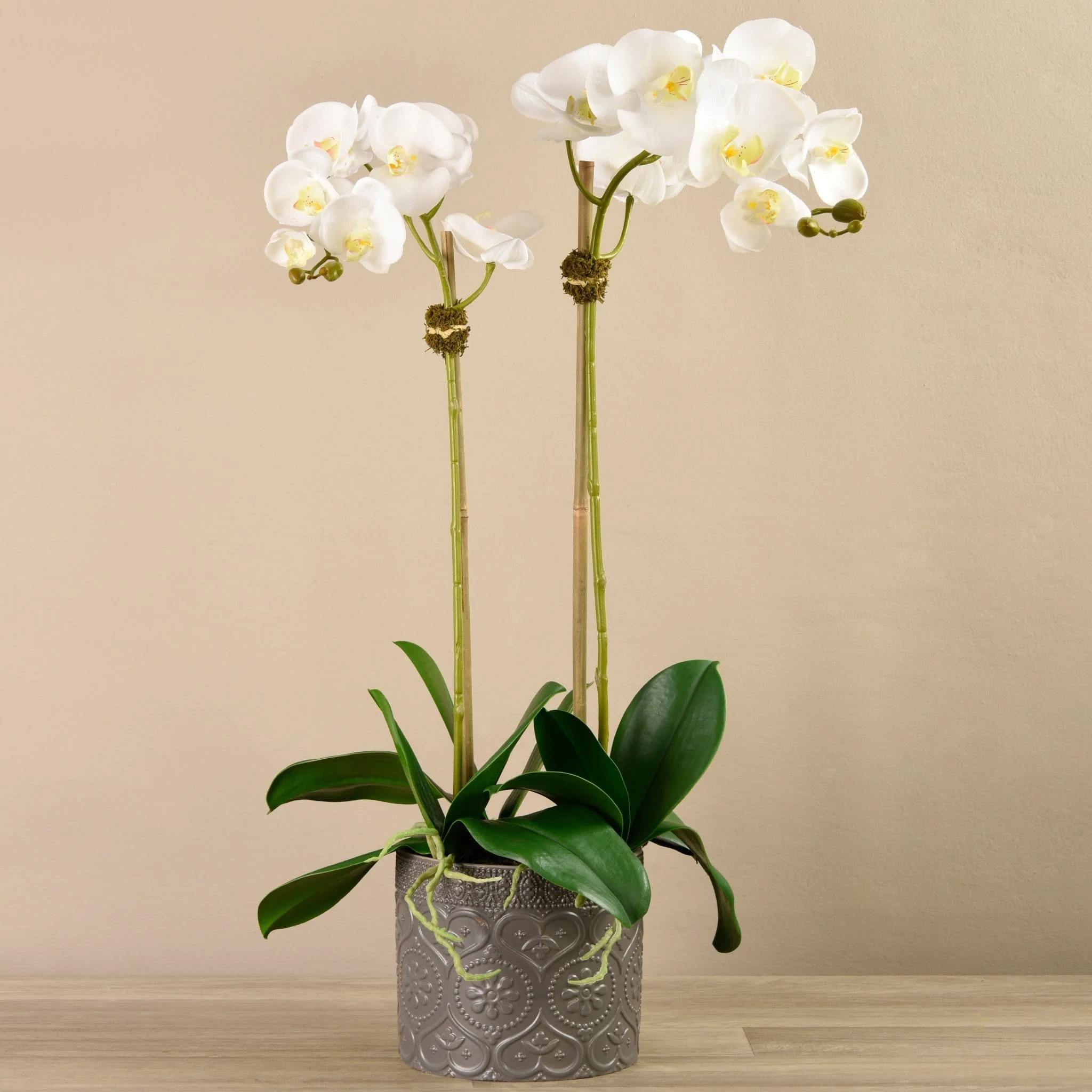 Orchid Arrangement in Ceramic Vase - Image 5