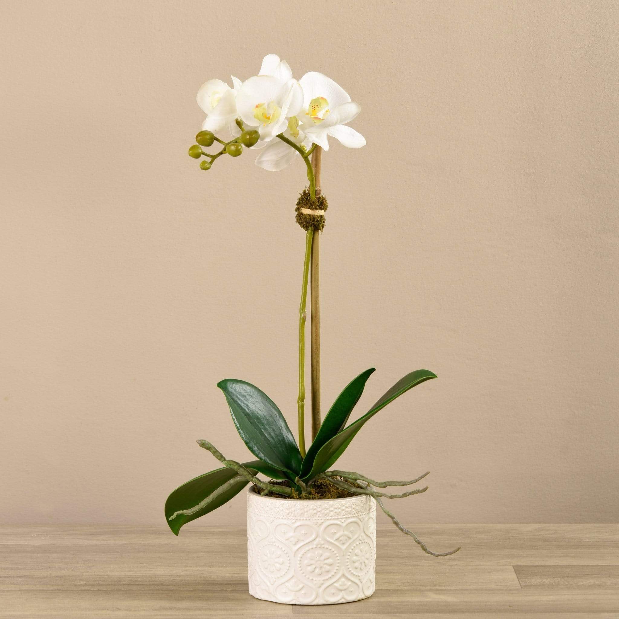 Orchid Arrangement in Ceramic Vase - Image 2
