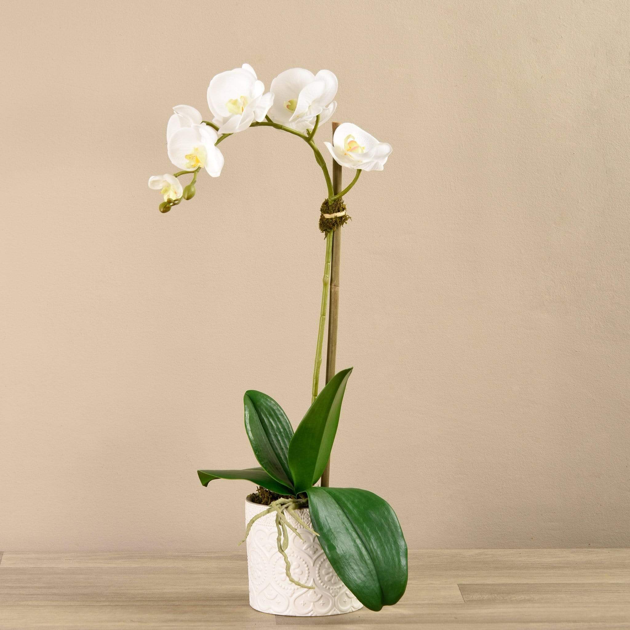 Orchid Arrangement in Ceramic Vase - Image 3