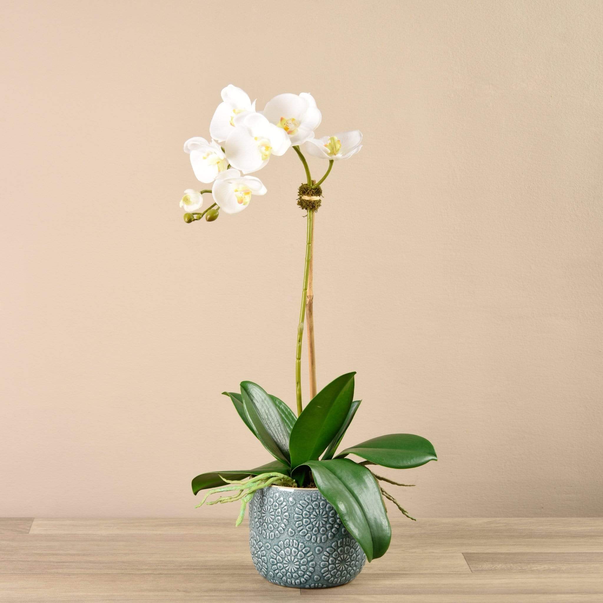 Orchid Arrangement in Ceramic Vase - Image 2