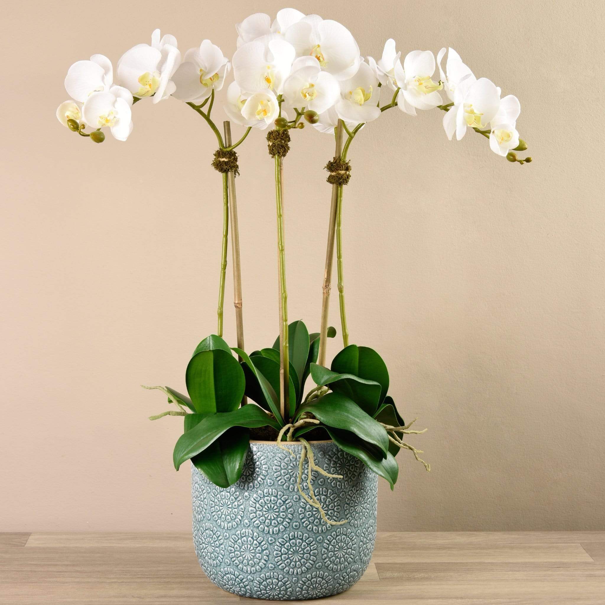 Orchid Arrangement in Ceramic Vase - Image 4