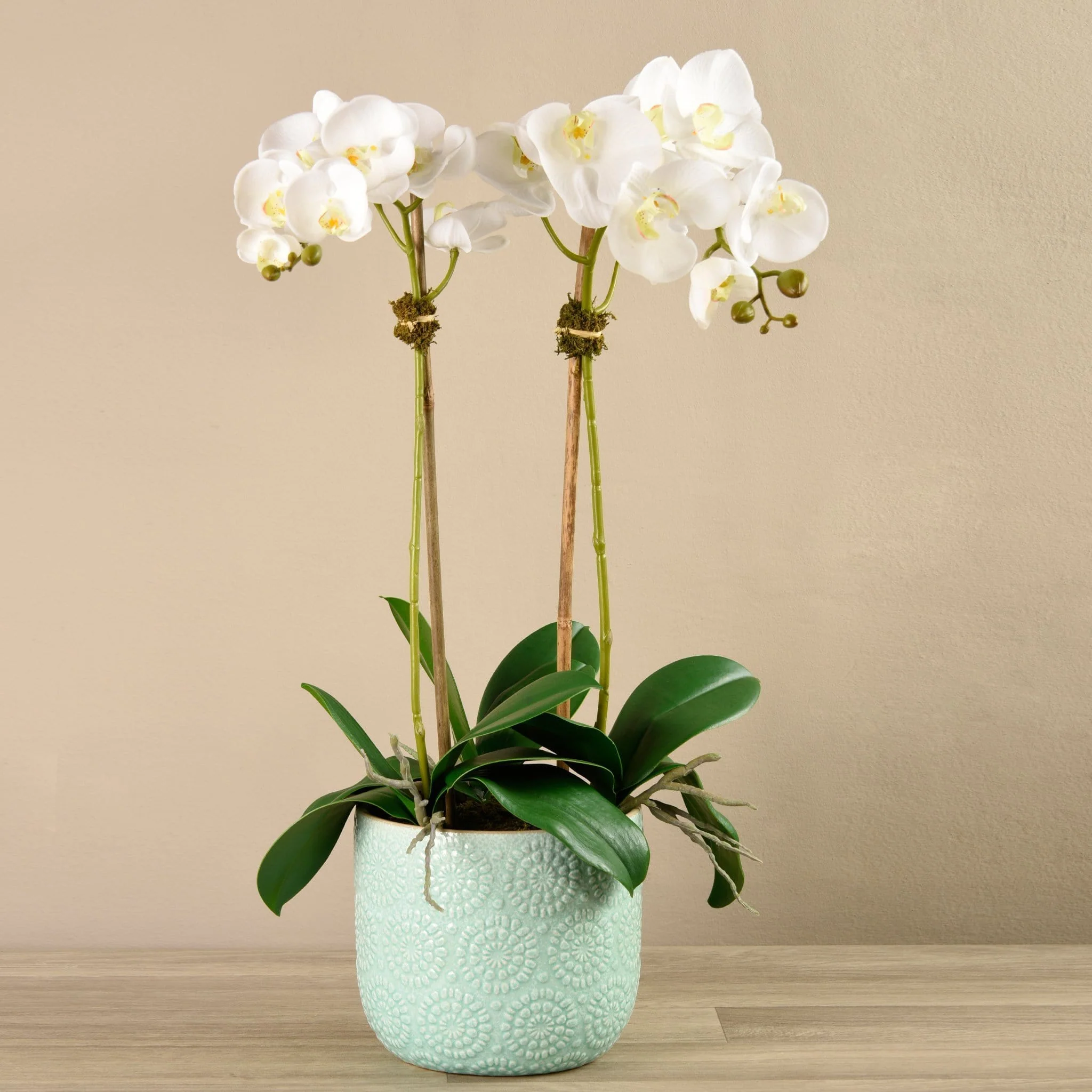 Orchid Arrangement in Ceramic Vase - Image 3