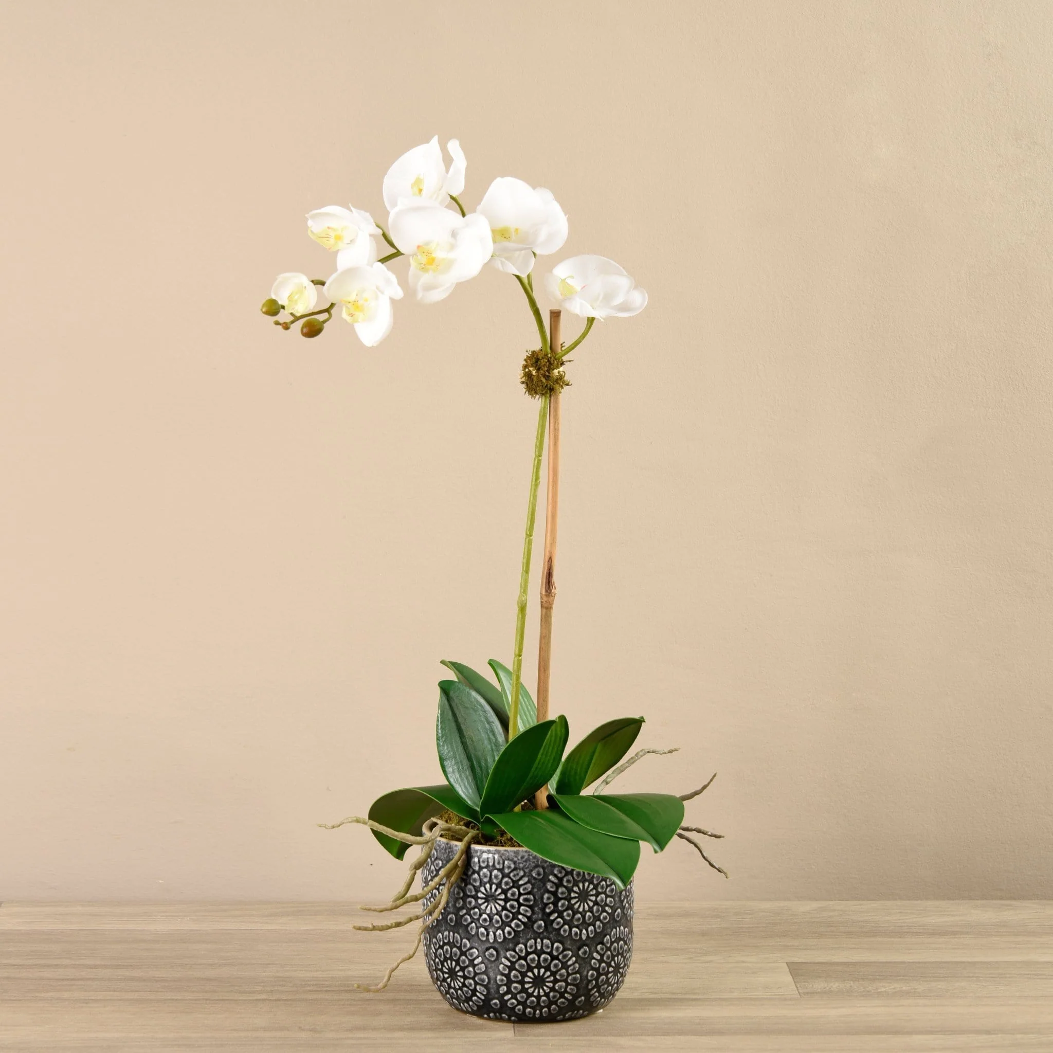 Orchid Arrangement in Ceramic Vase - Image 2