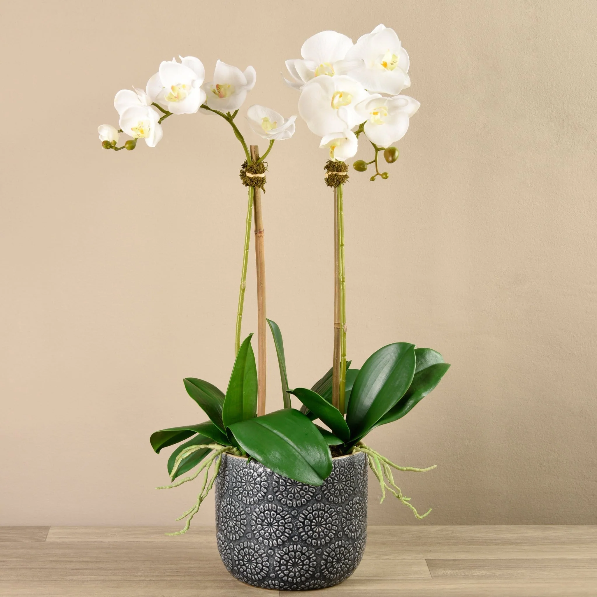 Orchid Arrangement in Ceramic Vase - Image 3