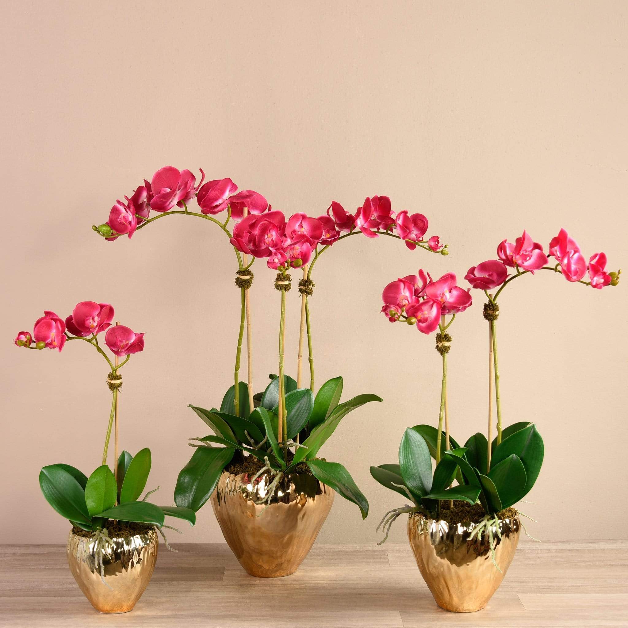 Orchid Arrangement in Gold Vase - Image 2