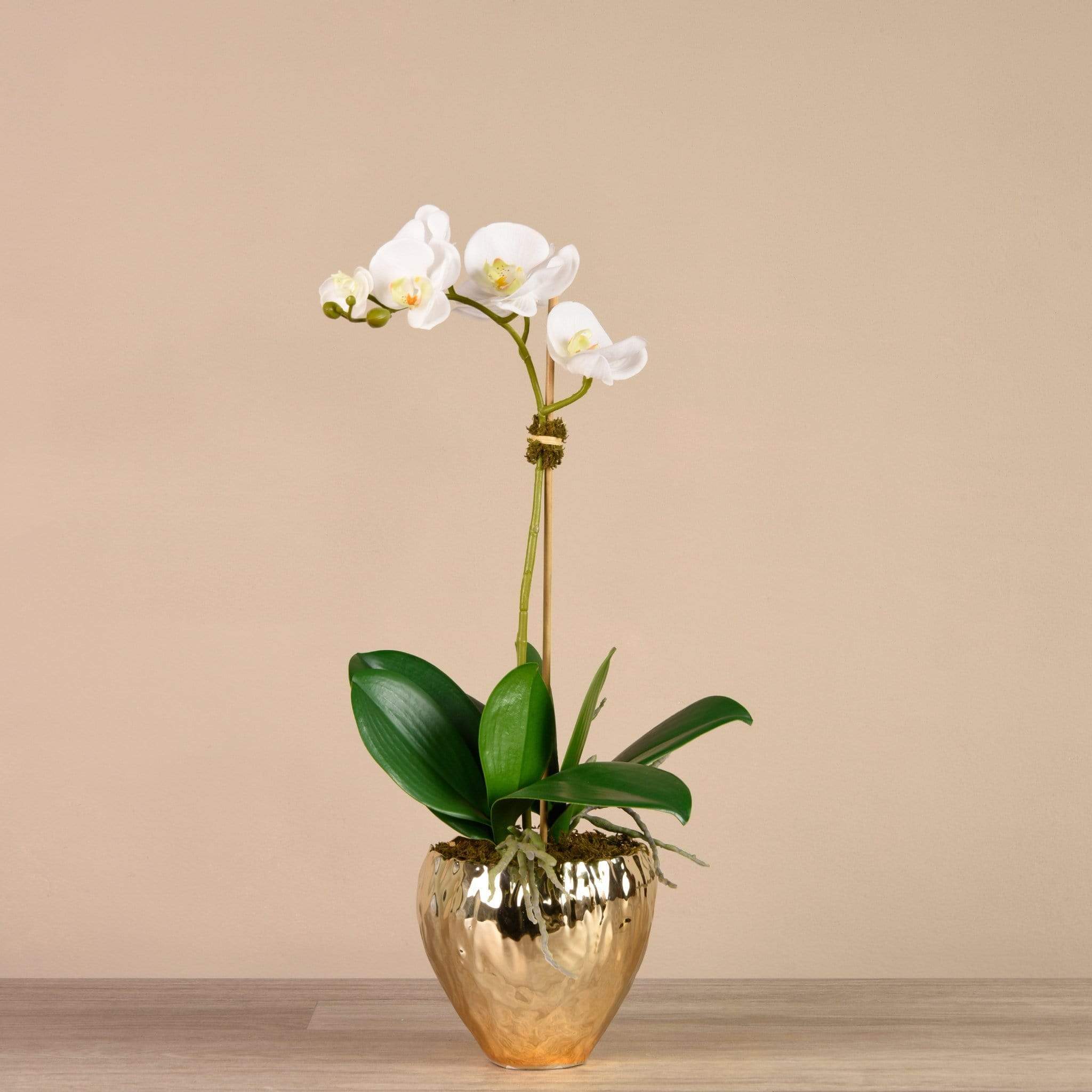 Orchid Arrangement in Gold Vase - Image 3