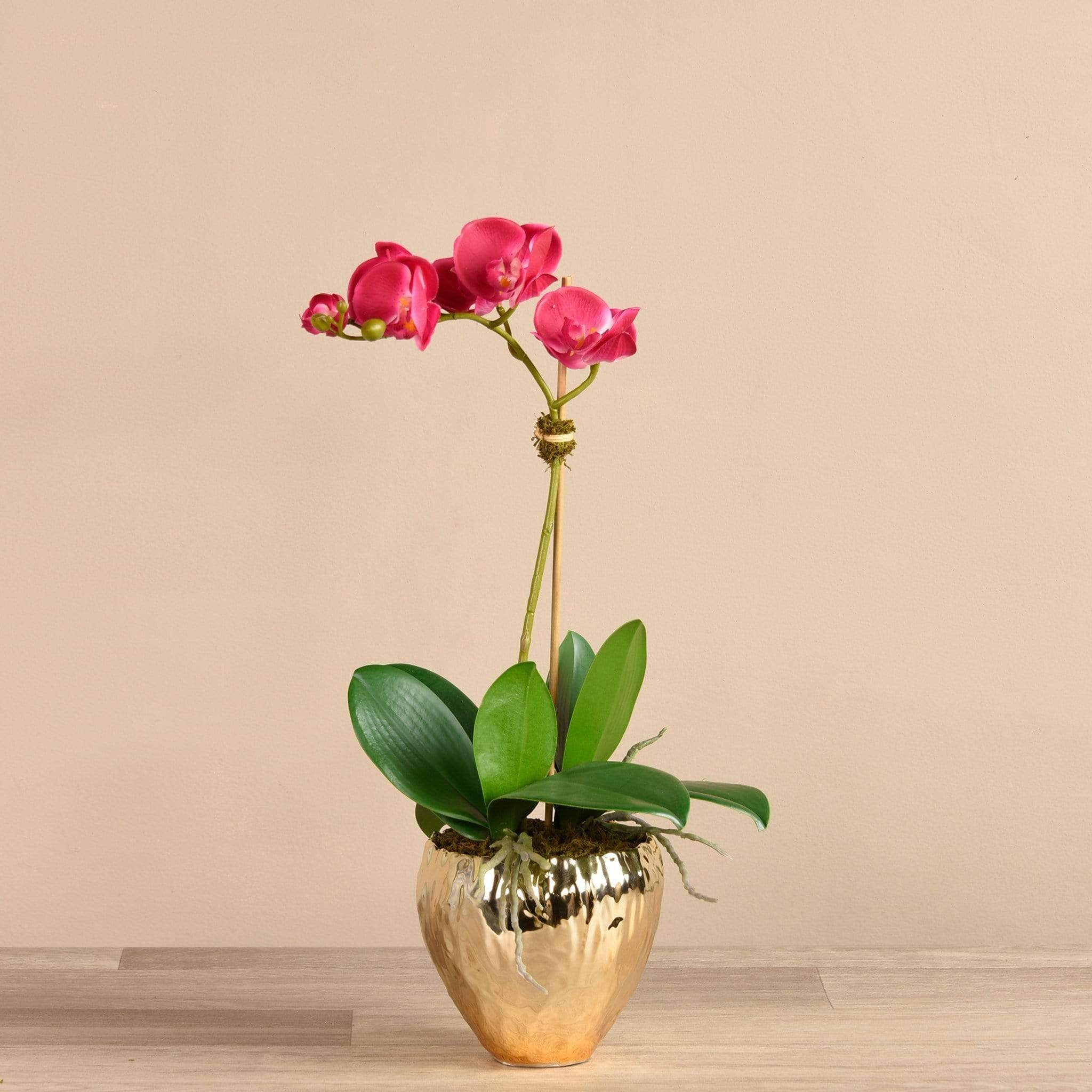 Orchid Arrangement in Gold Vase - Image 4