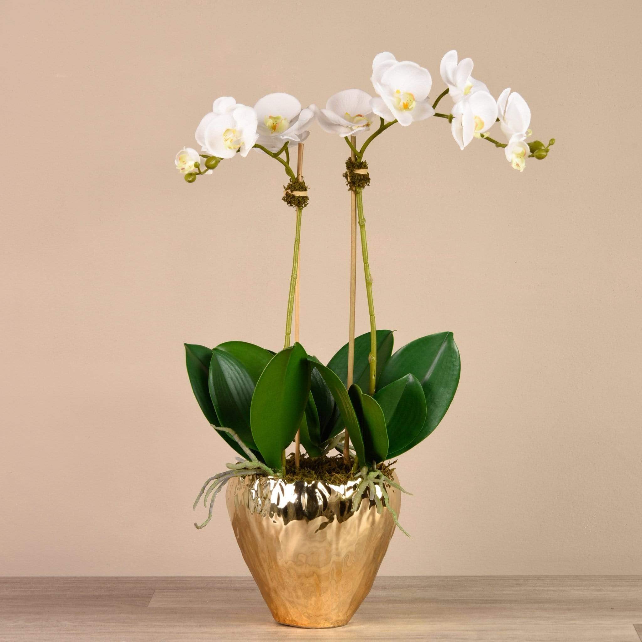 Orchid Arrangement in Gold Vase - Image 5