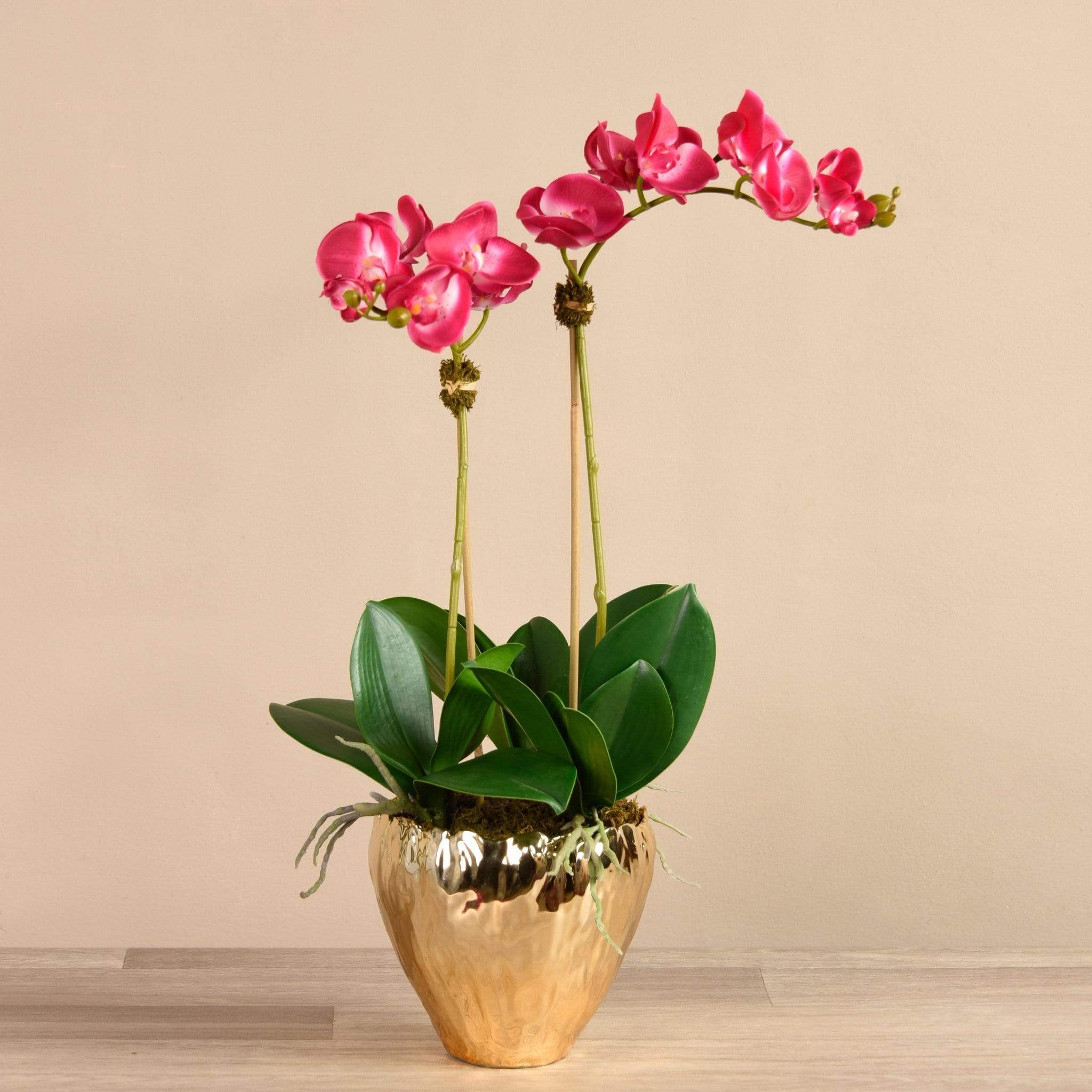 Orchid Arrangement in Gold Vase - Image 6