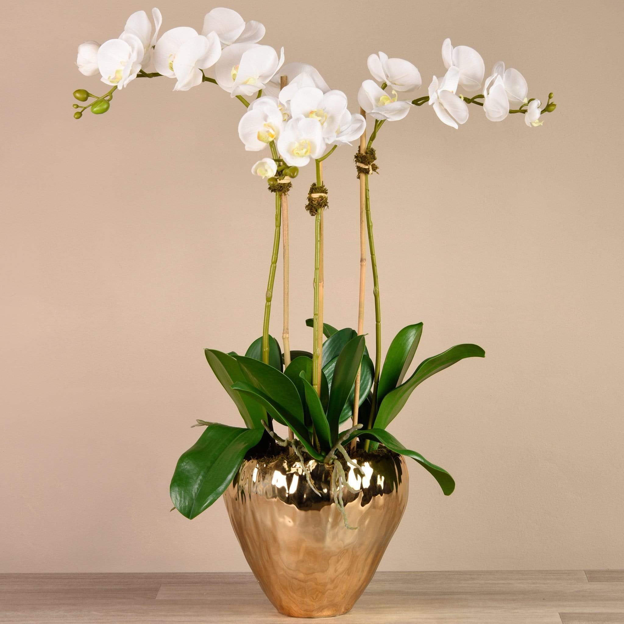 Orchid Arrangement in Gold Vase - Image 7