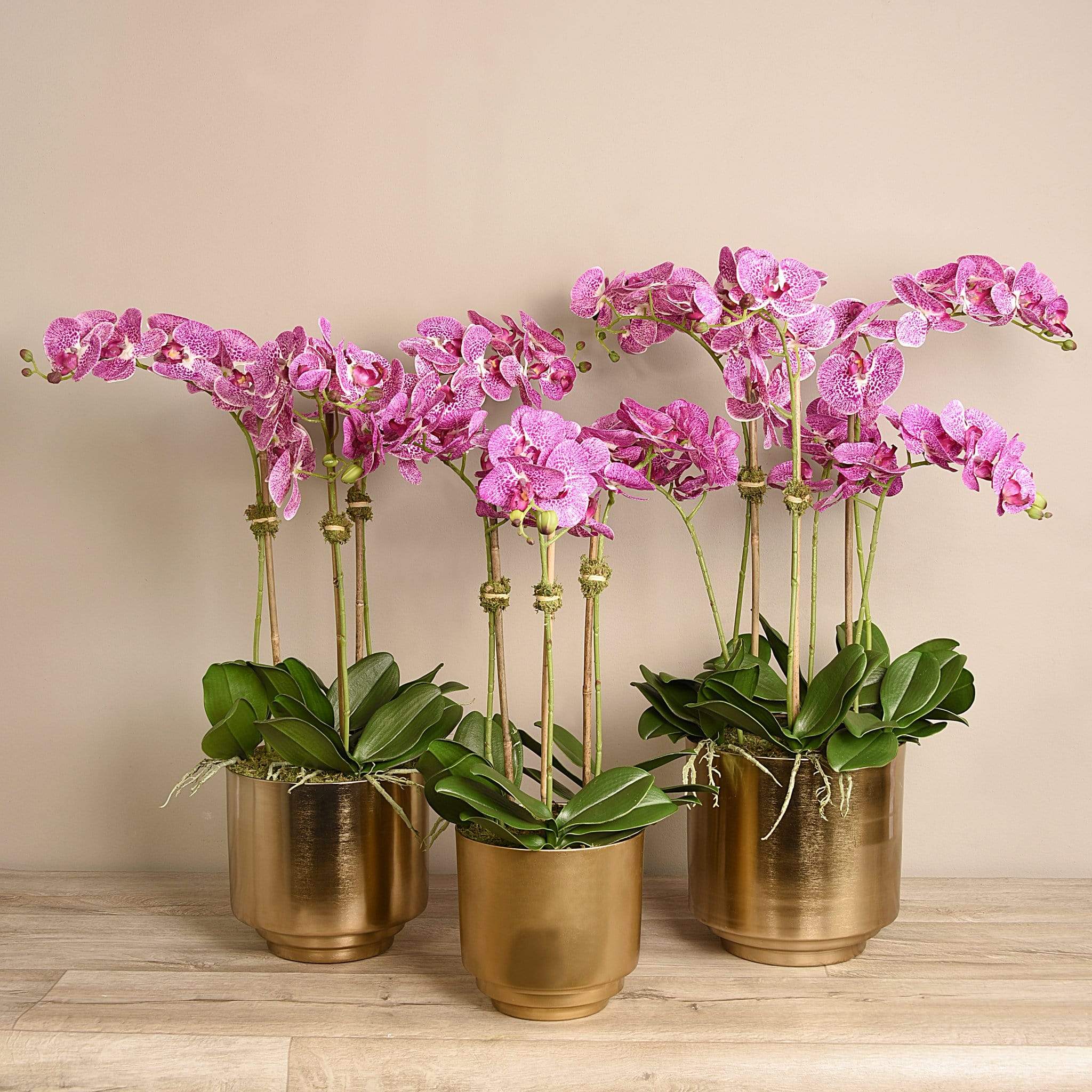 Artificial Orchid in Gold Vase - Image 12
