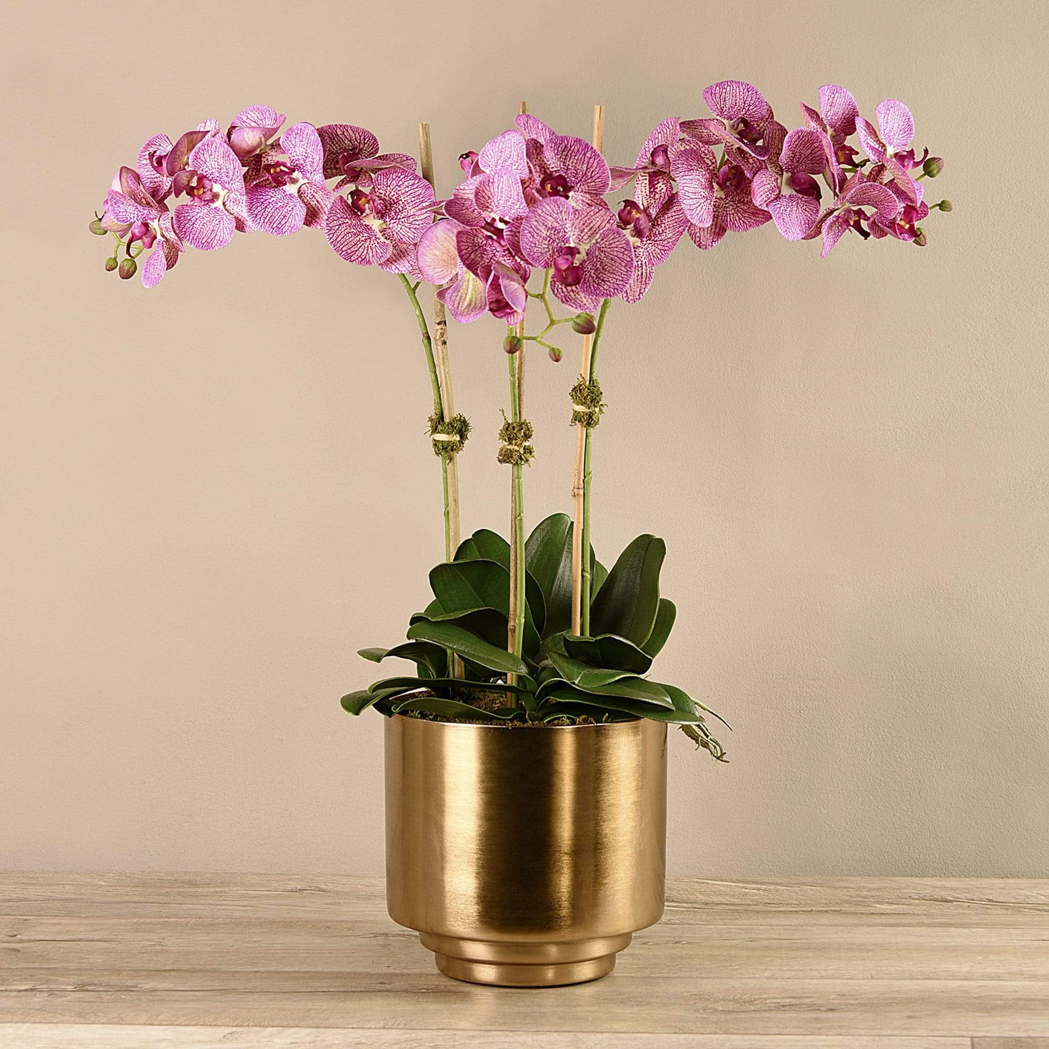 Artificial Orchid in Gold Vase - Image 14