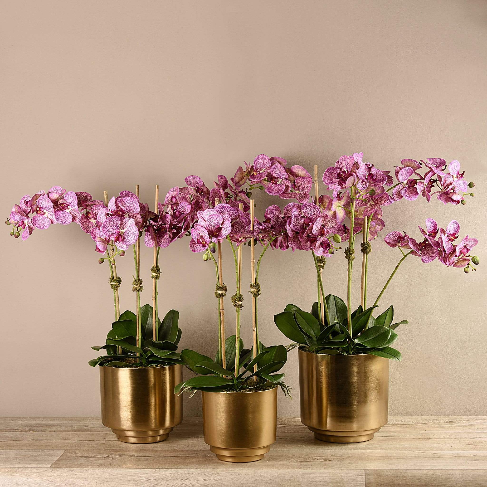 Artificial Orchid in Gold Vase - Image 16