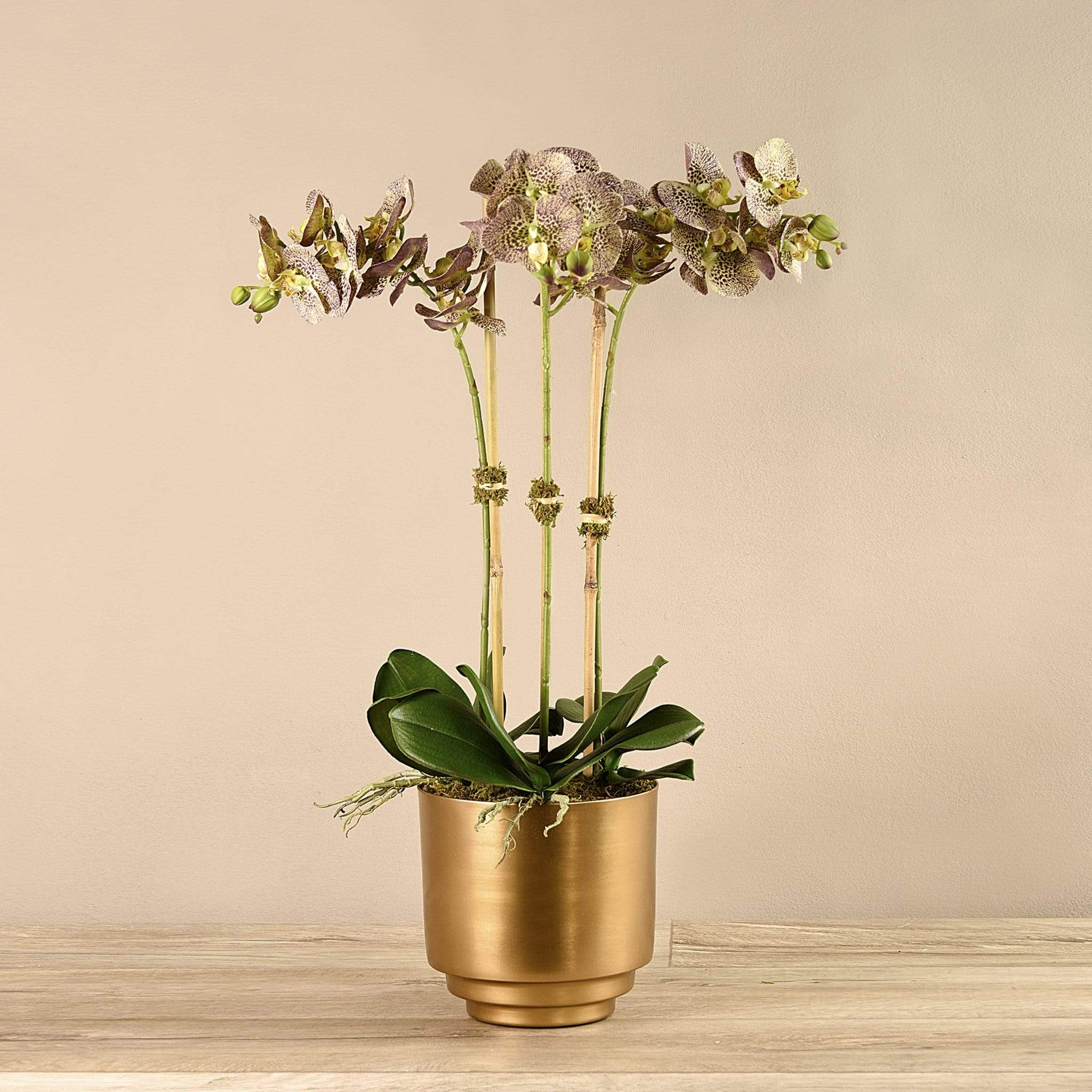Artificial Orchid in Gold Vase - Image 17