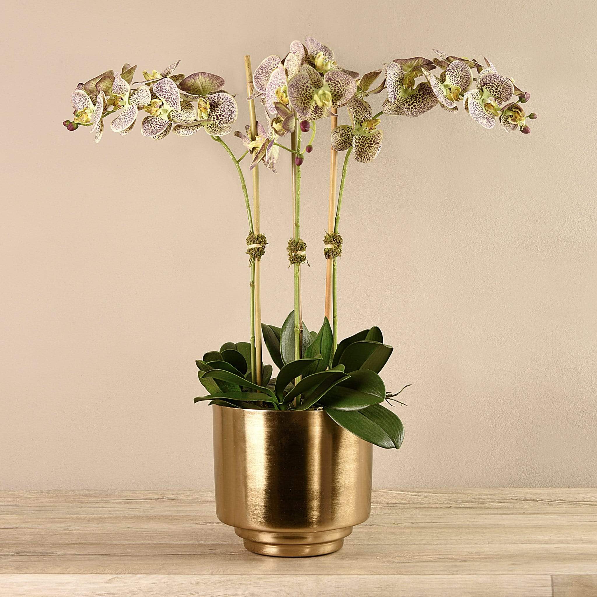 Artificial Orchid in Gold Vase - Image 18