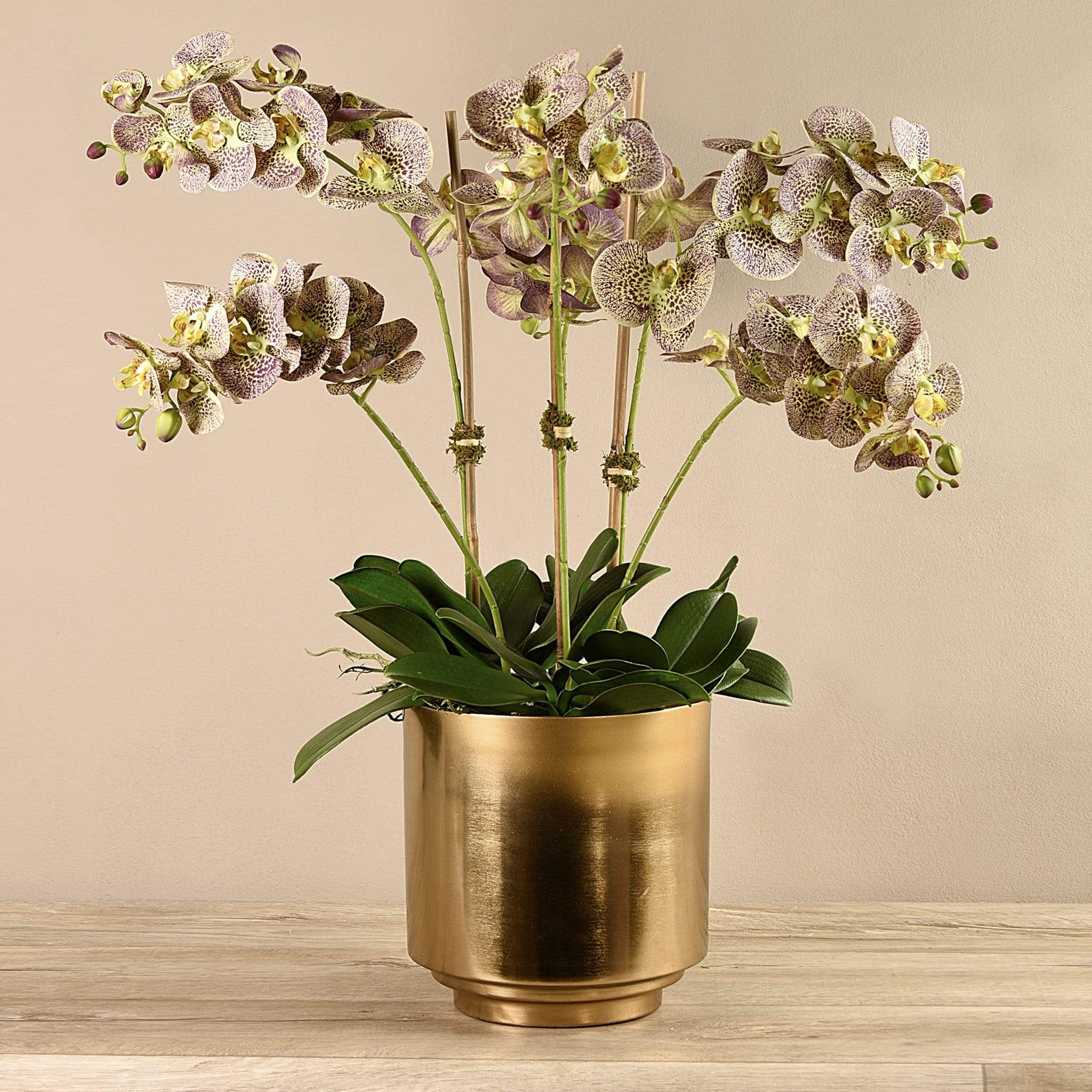 Artificial Orchid in Gold Vase - Image 19