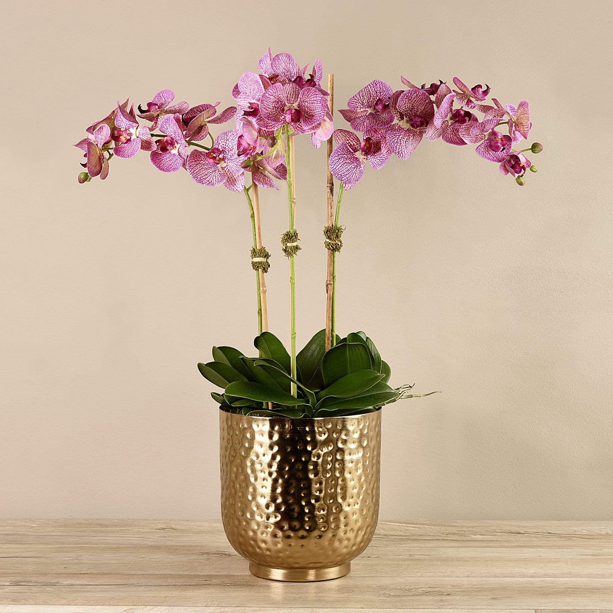 Artificial Orchid in Gold Vase - Image 11