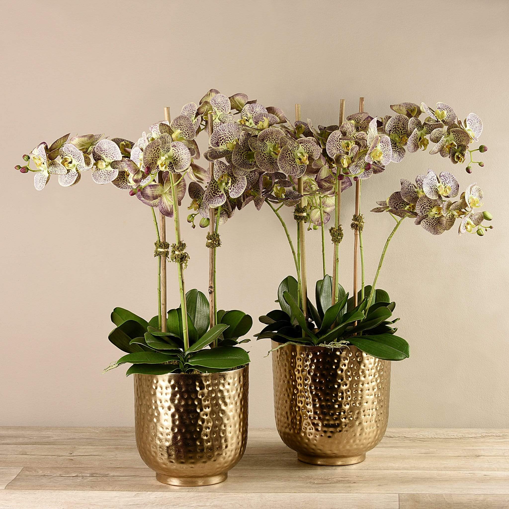Artificial Orchid in Gold Vase - Image 13