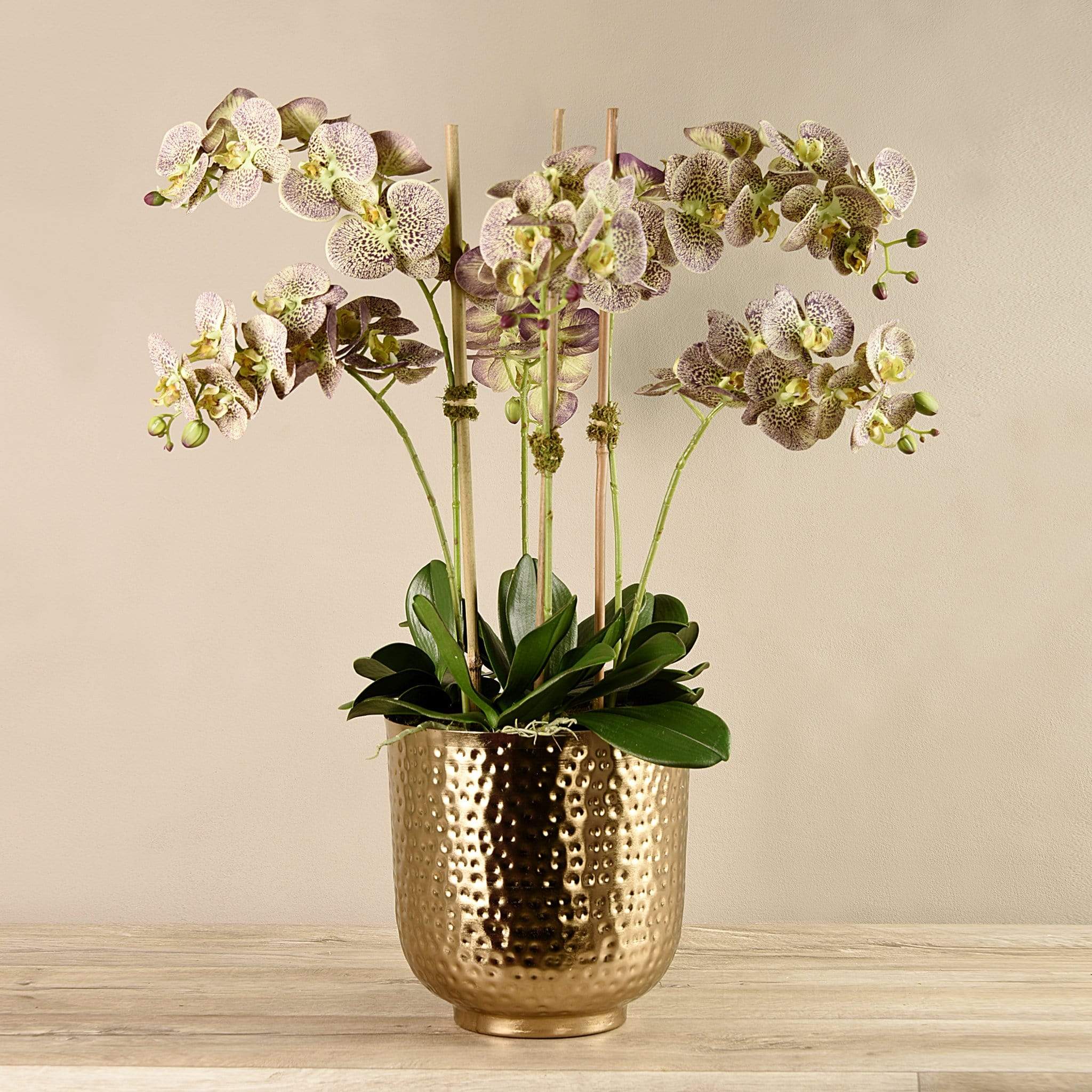 Artificial Orchid in Gold Vase - Image 15