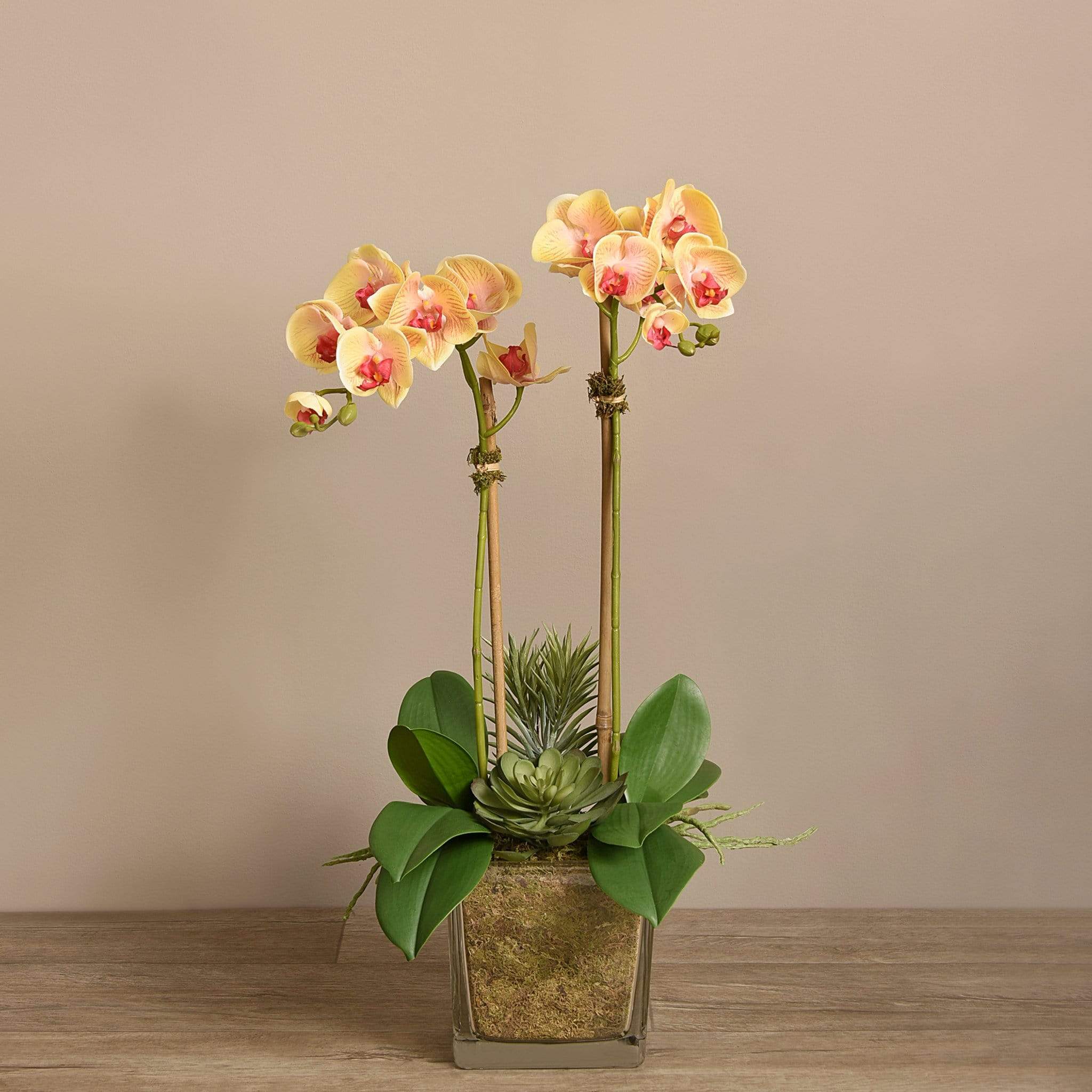 Artificial Orchid & Succulent Arrangement - Image 10
