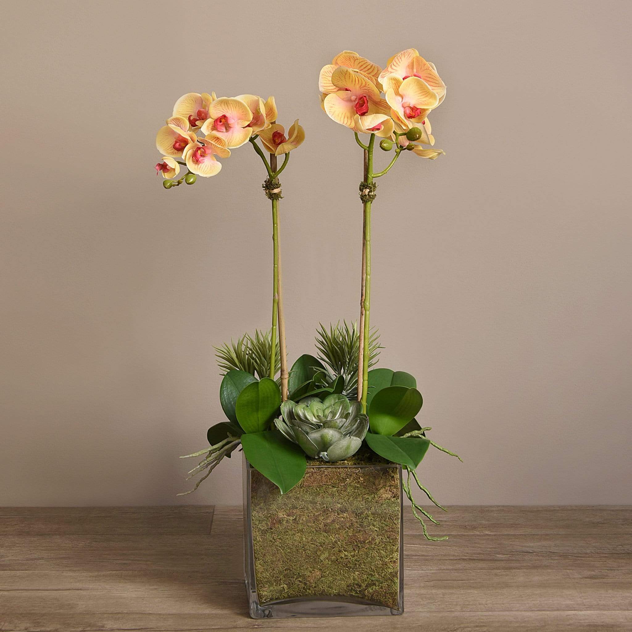 Artificial Orchid & Succulent Arrangement - Image 11