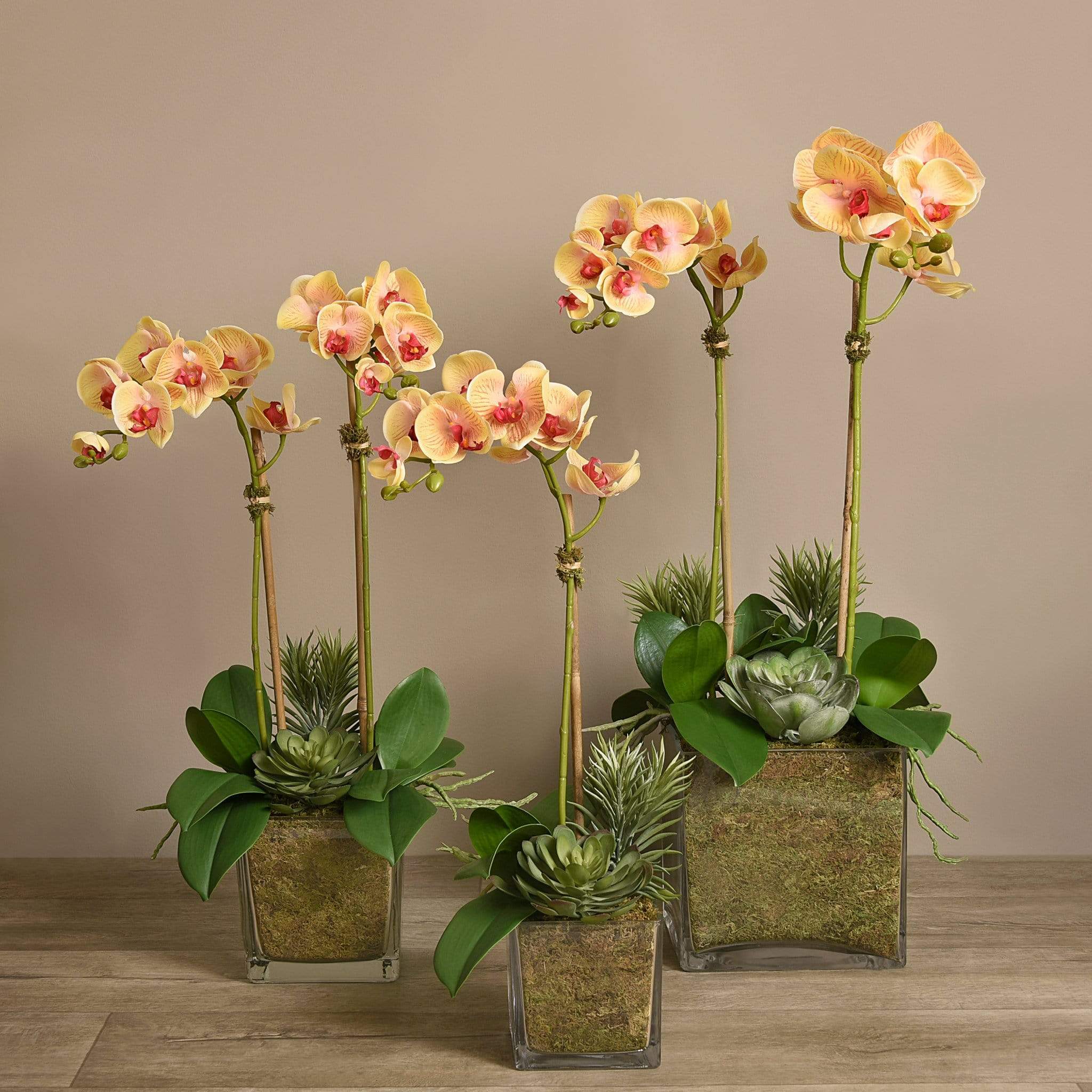 Artificial Orchid & Succulent Arrangement - Image 12