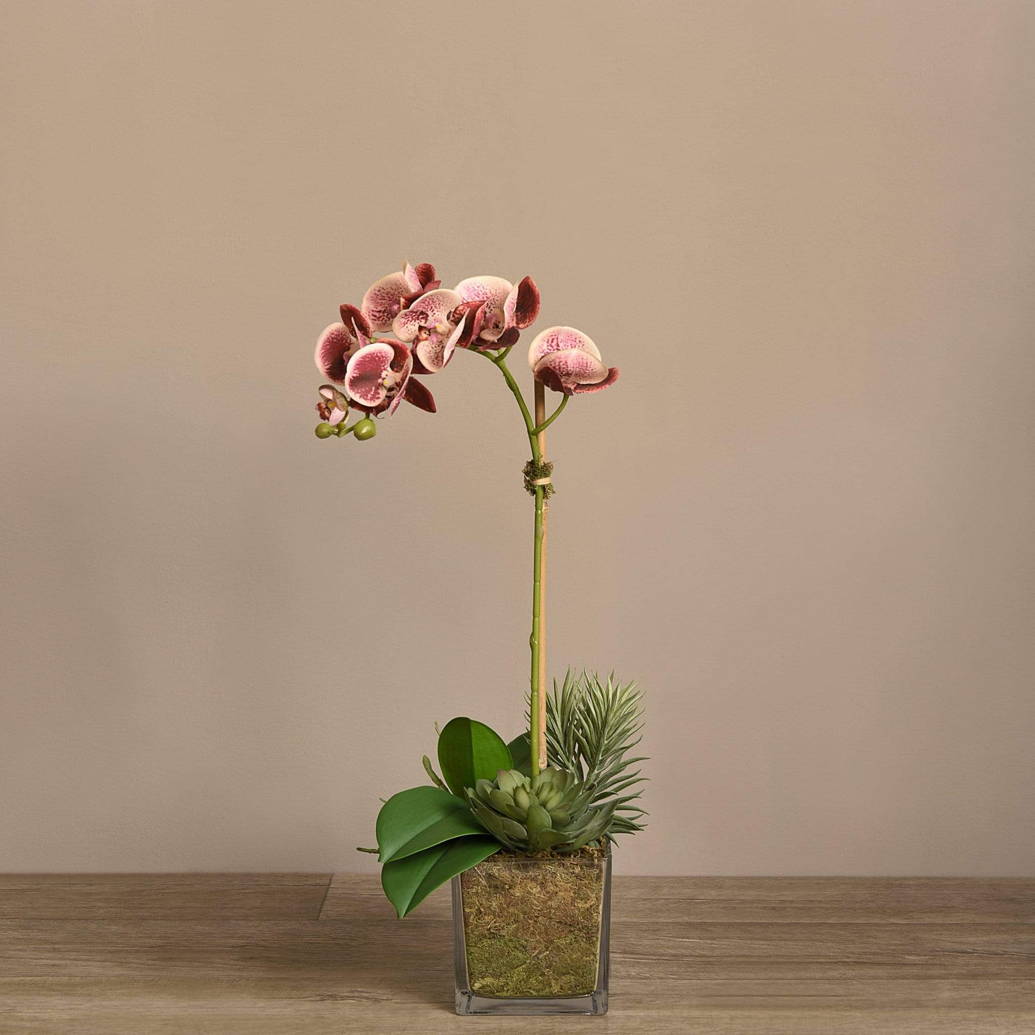 Artificial Orchid & Succulent Arrangement - Image 13
