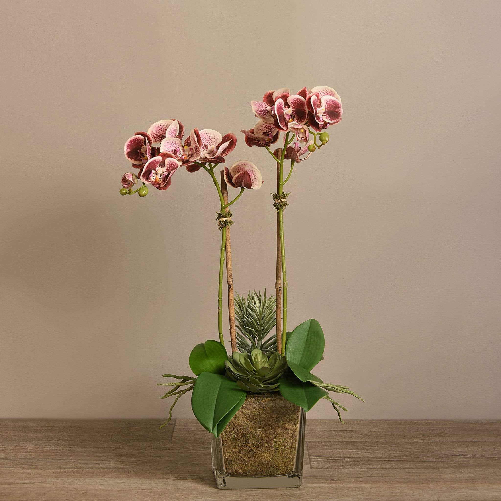 Artificial Orchid & Succulent Arrangement - Image 14