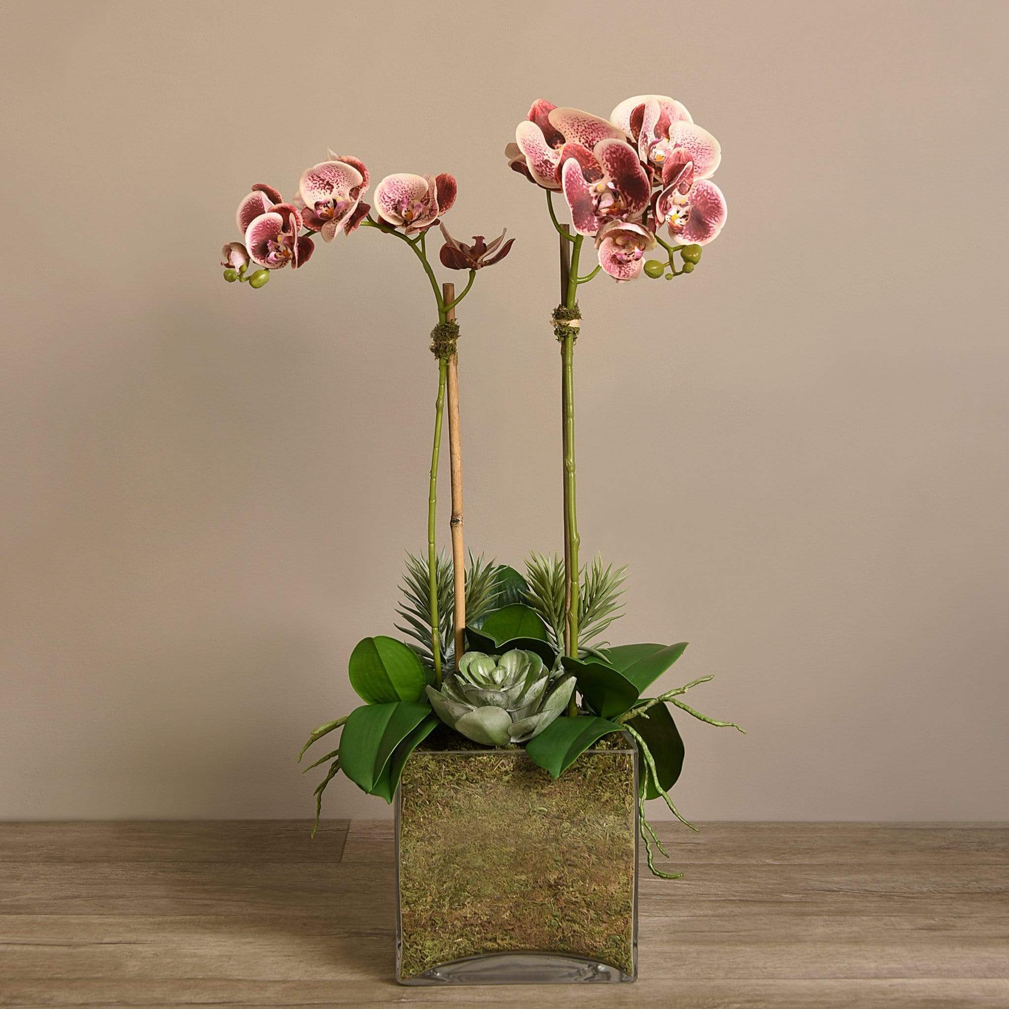 Artificial Orchid & Succulent Arrangement - Image 15
