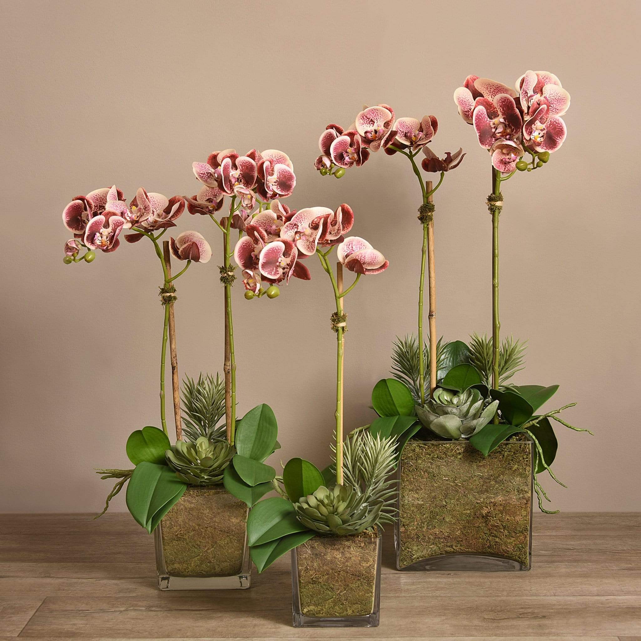 Artificial Orchid & Succulent Arrangement - Image 16