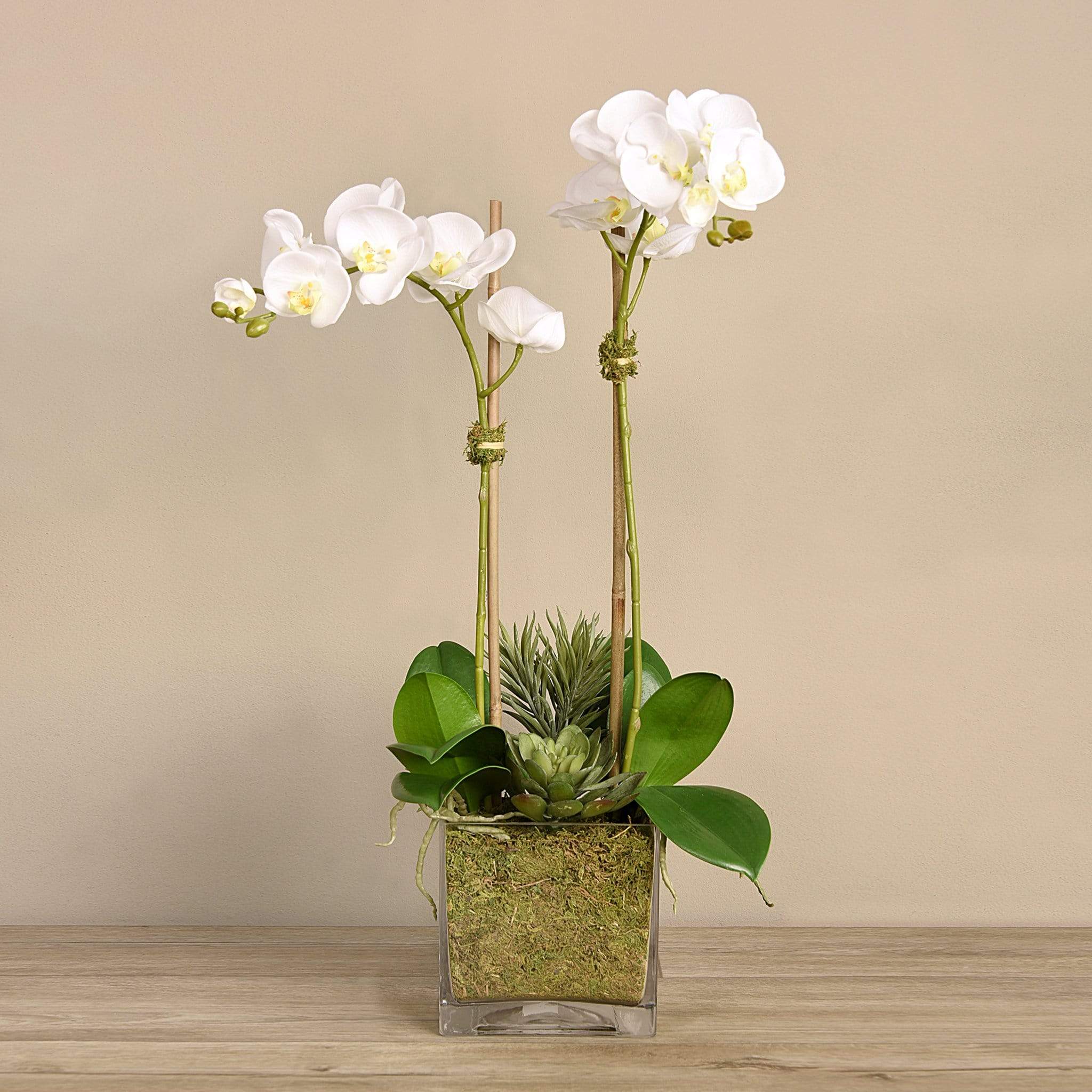 Artificial Orchid & Succulent Arrangement - Image 3