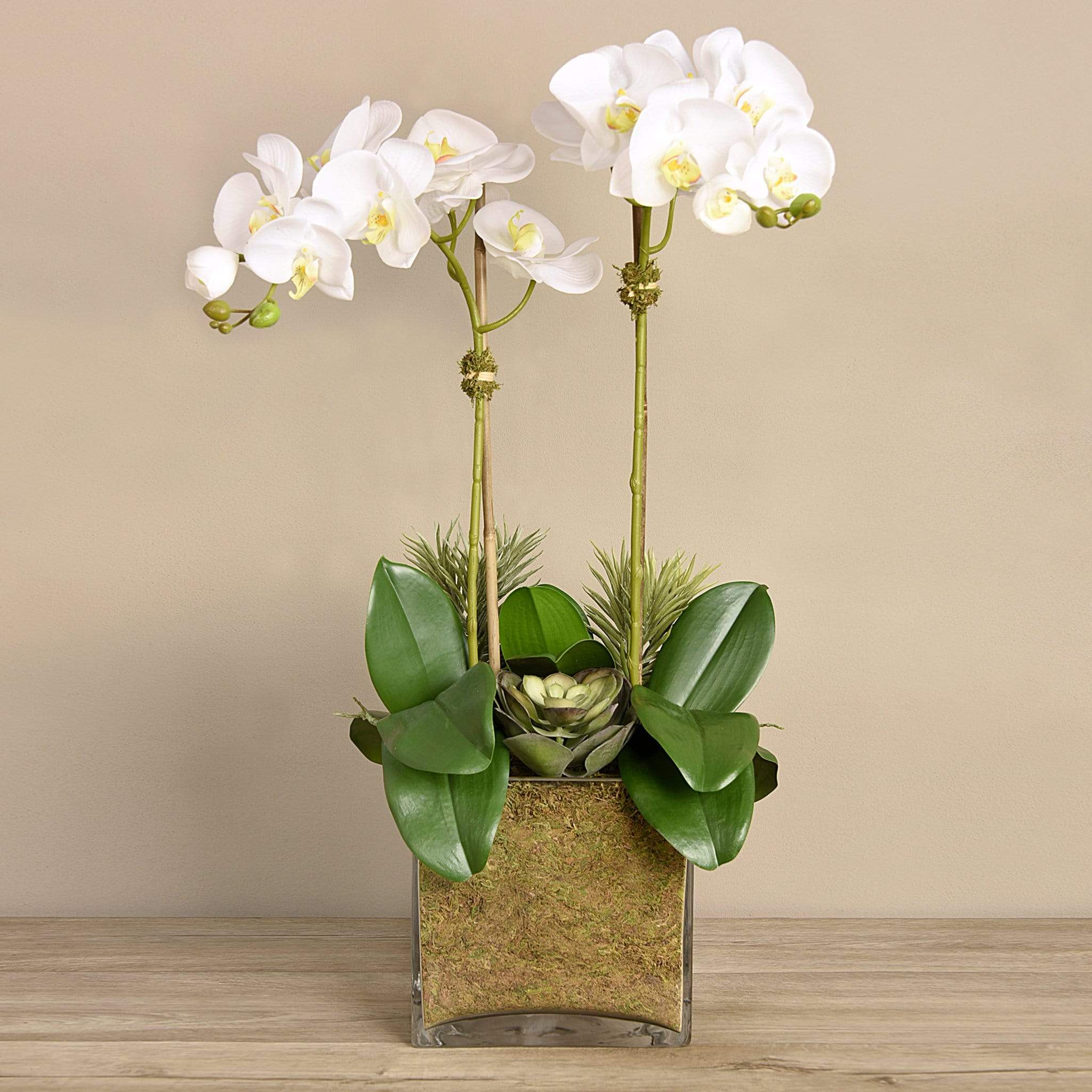 Artificial Orchid & Succulent Arrangement - Image 4