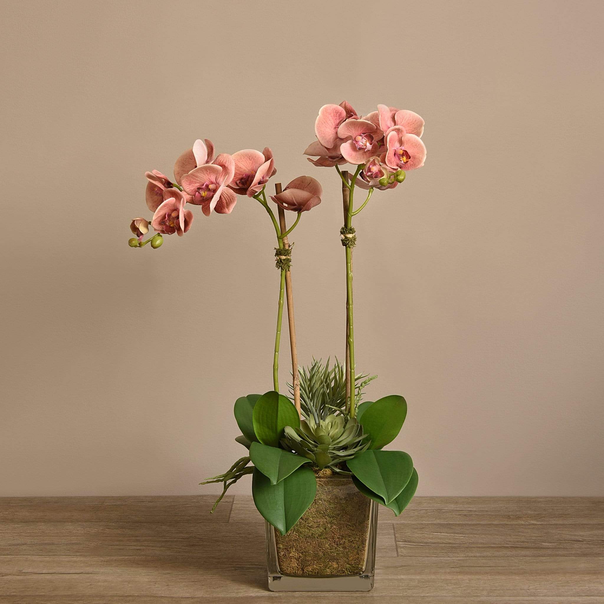 Artificial Orchid & Succulent Arrangement - Image 6