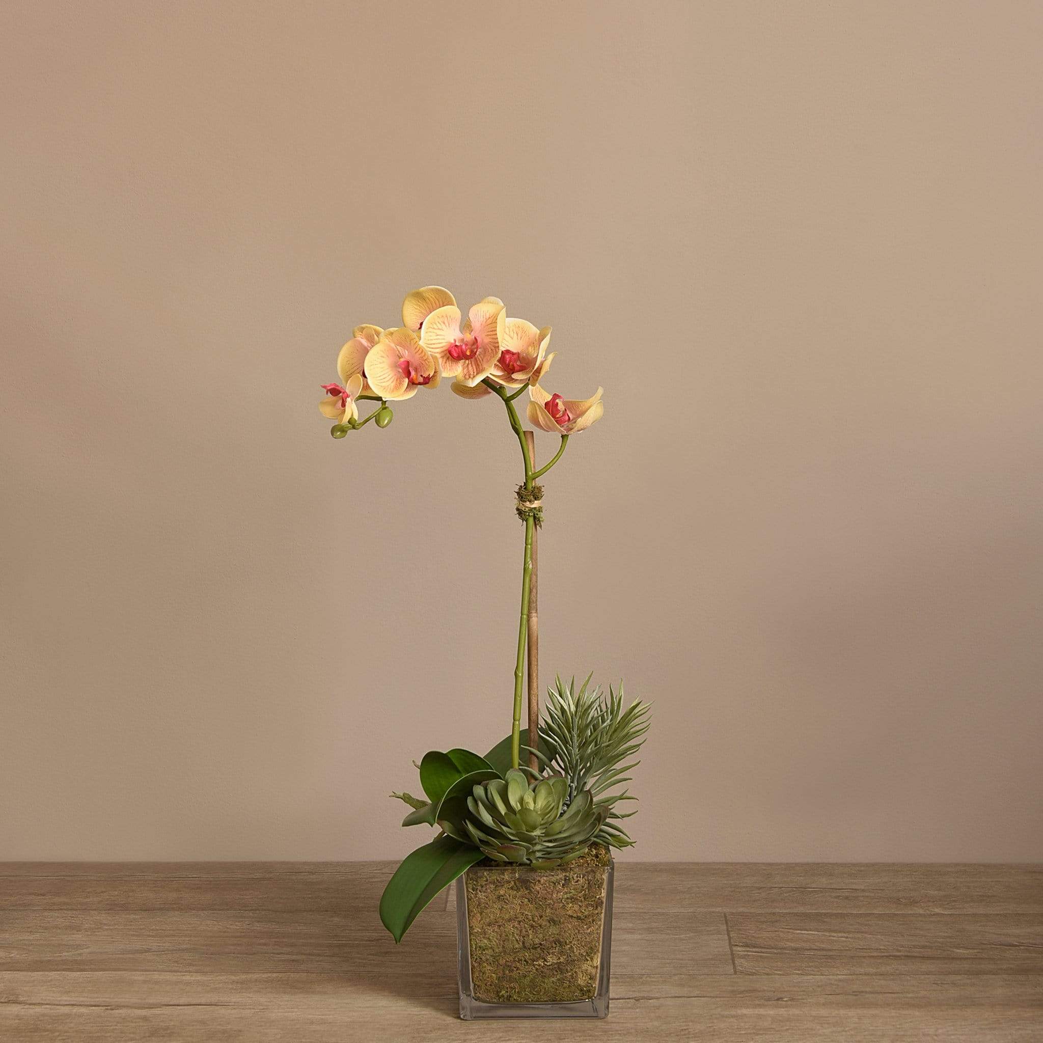 Artificial Orchid & Succulent Arrangement - Image 9