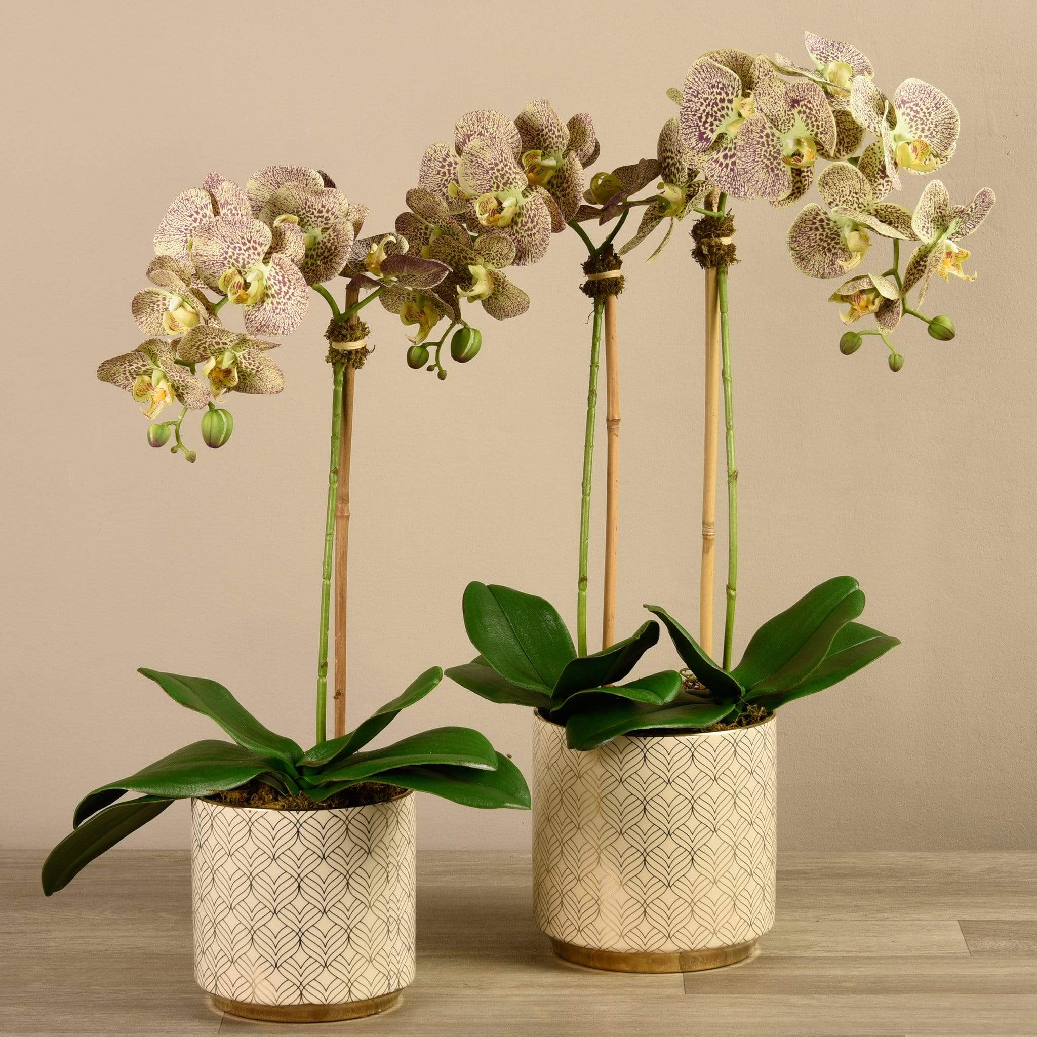 Artificial Orchid Arrangement - Image 13