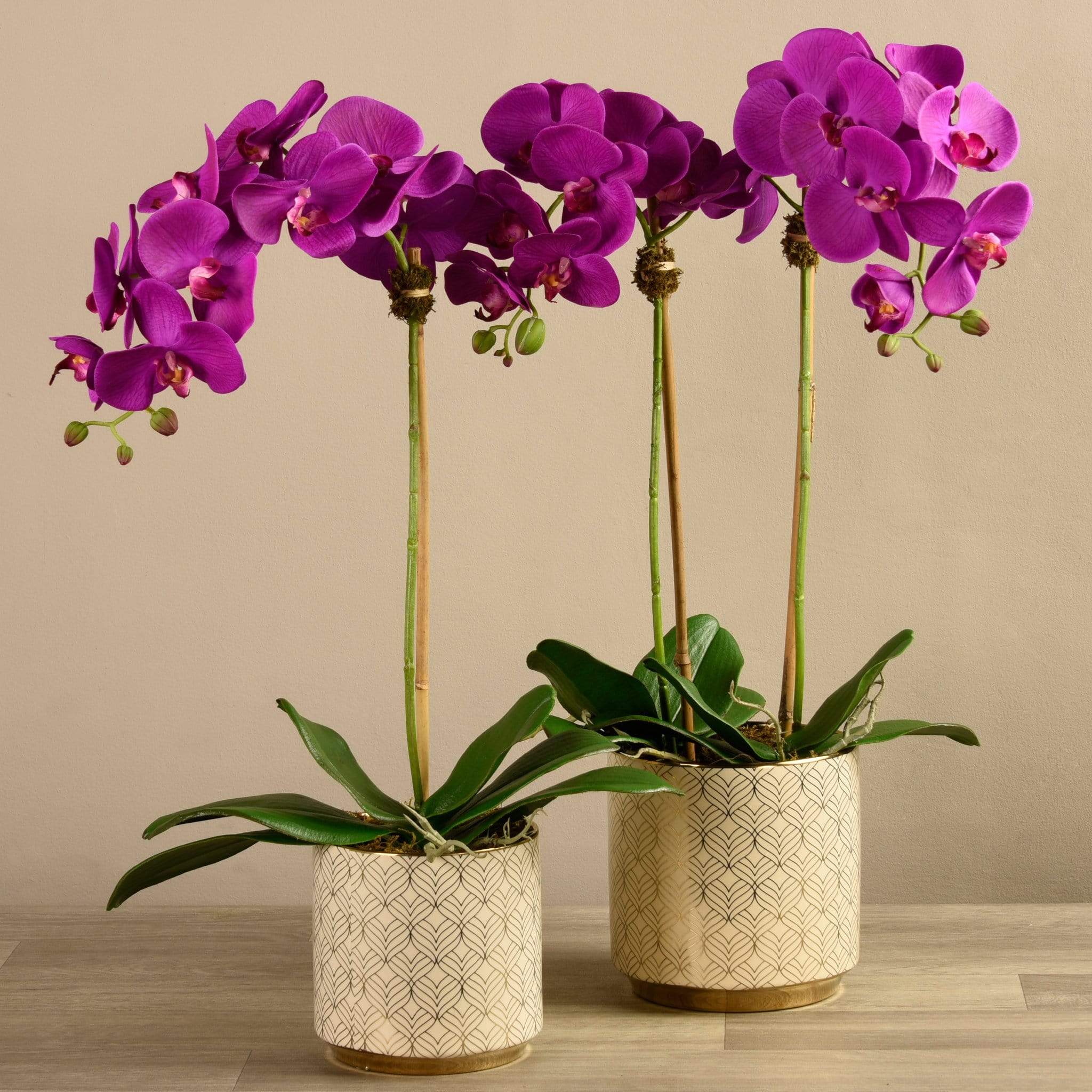 Artificial Orchid Arrangement - Image 4