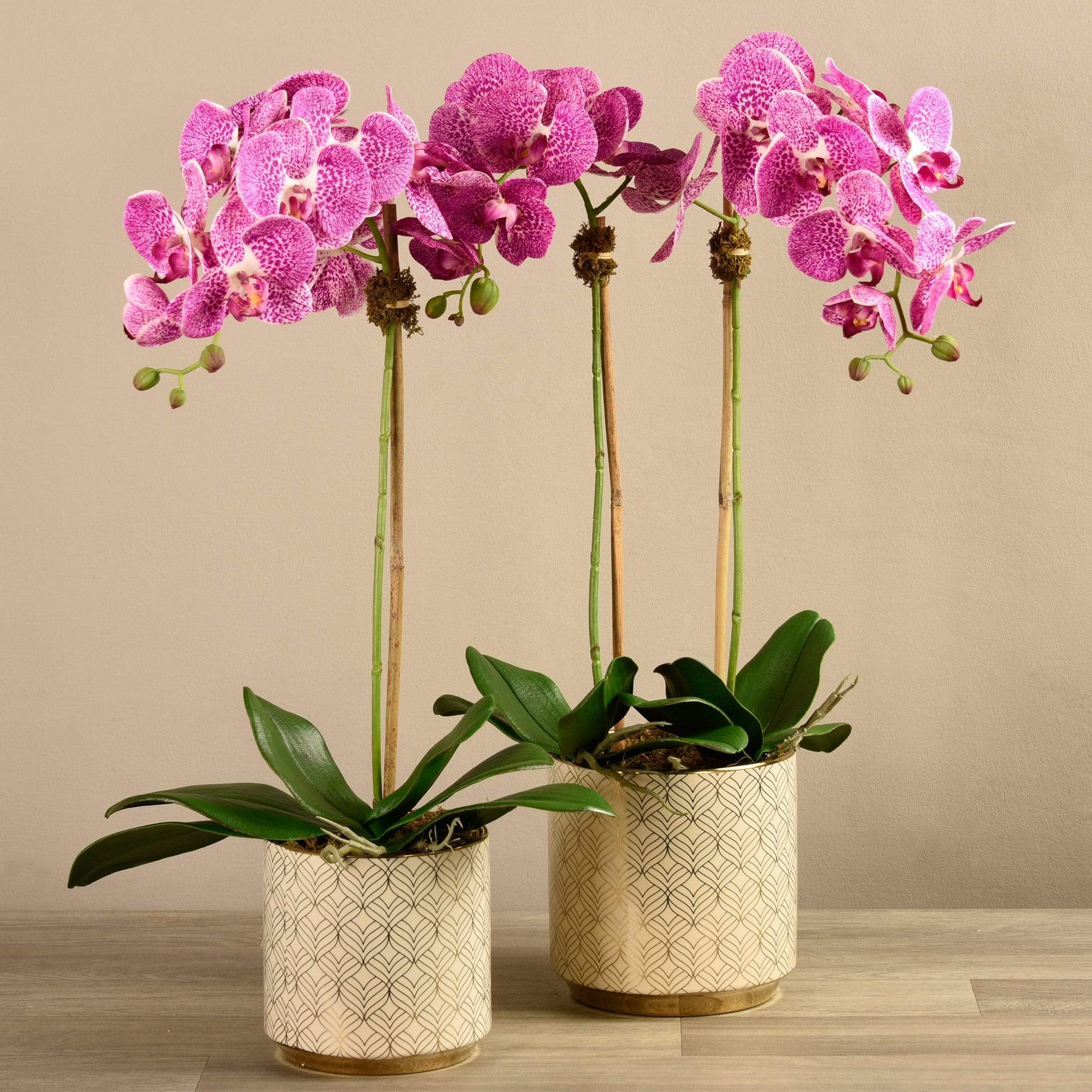 Artificial Orchid Arrangement - Image 7