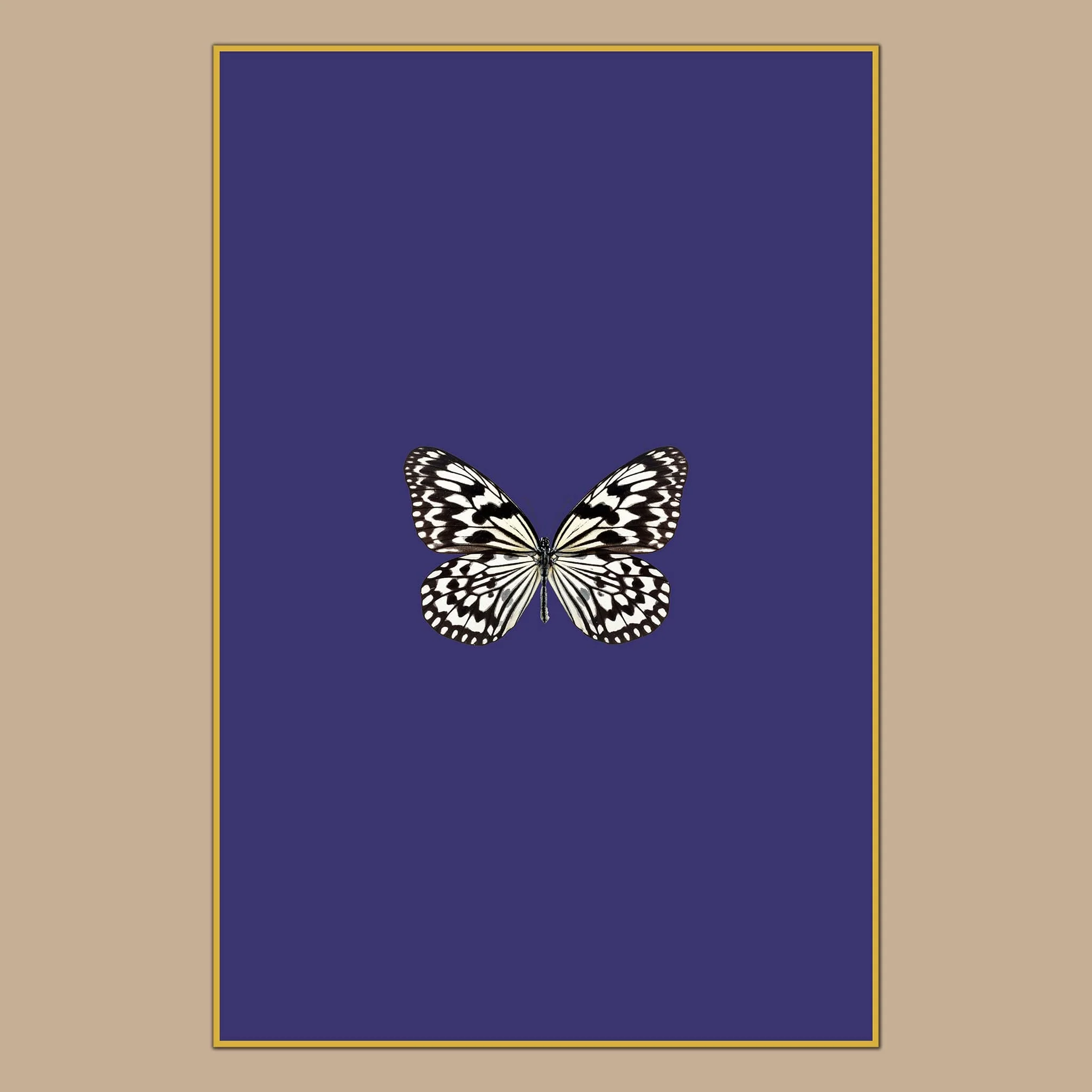 Wyroka
