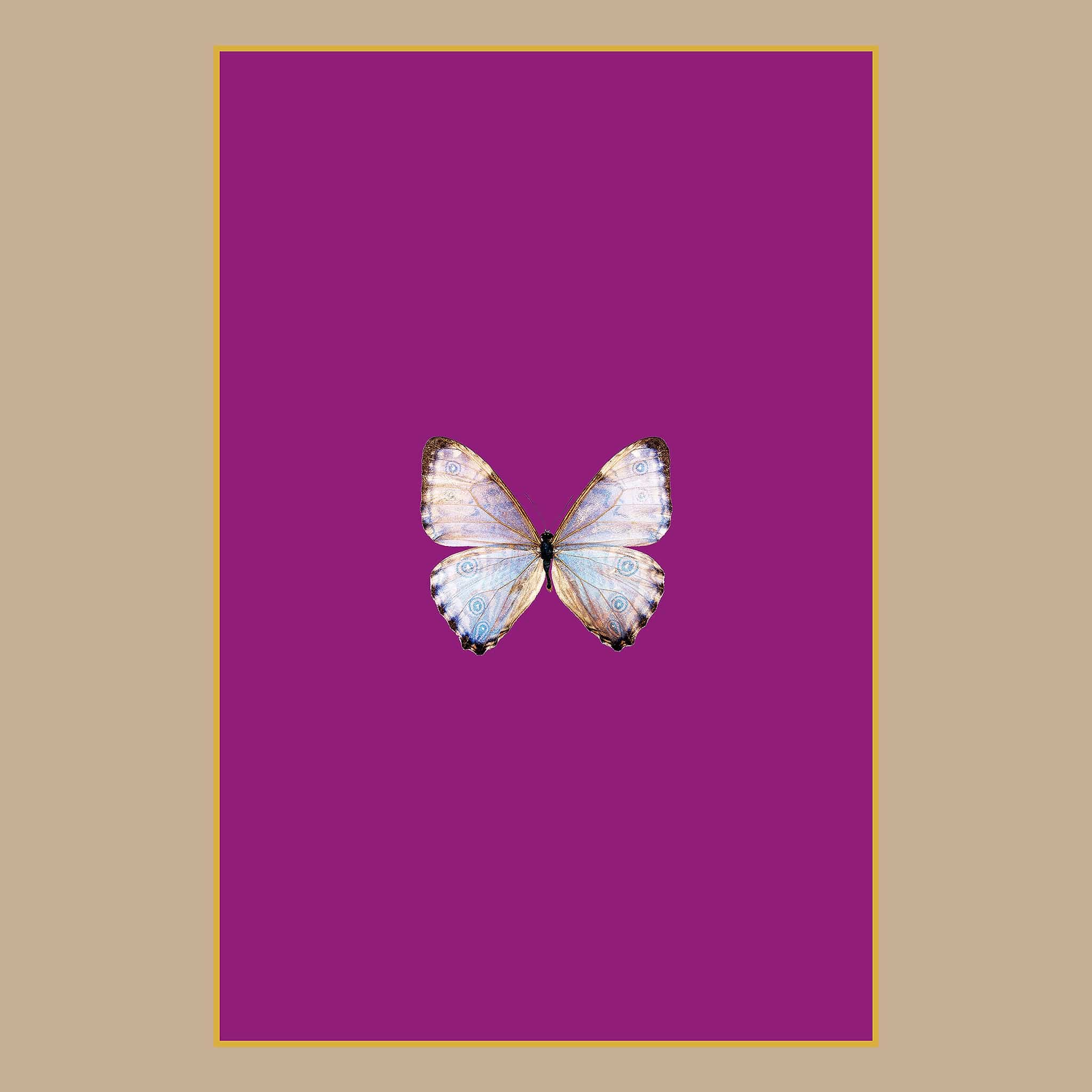 Flsada