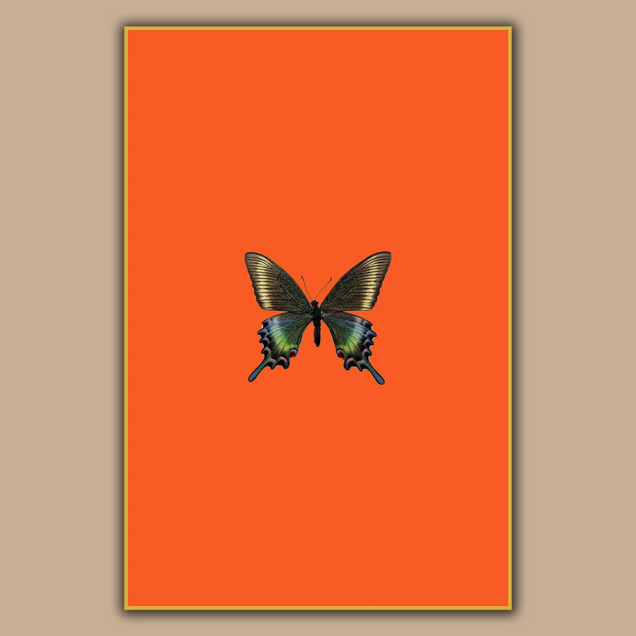 Fonori