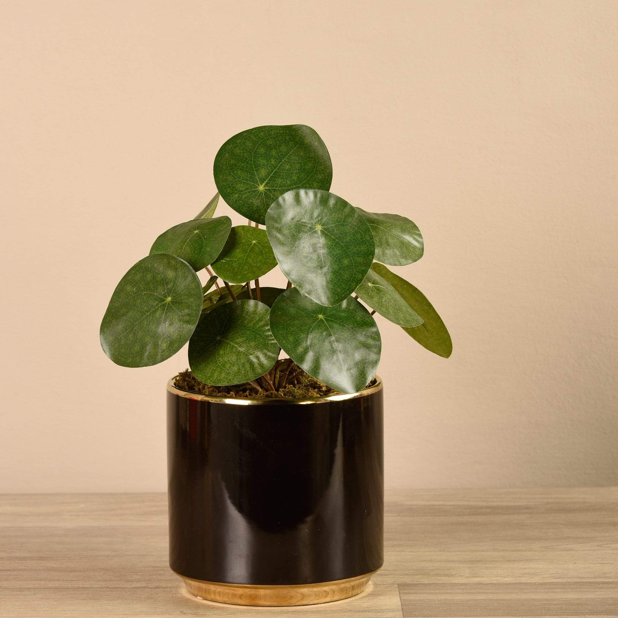 Artificial Pancake Plant in Black Pot - Image 2