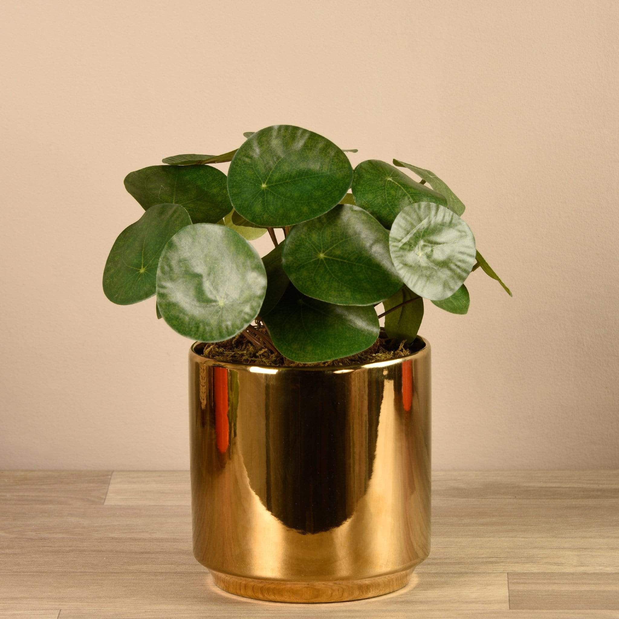 Artificial Pancake Plant in Gold Pot - Image 2